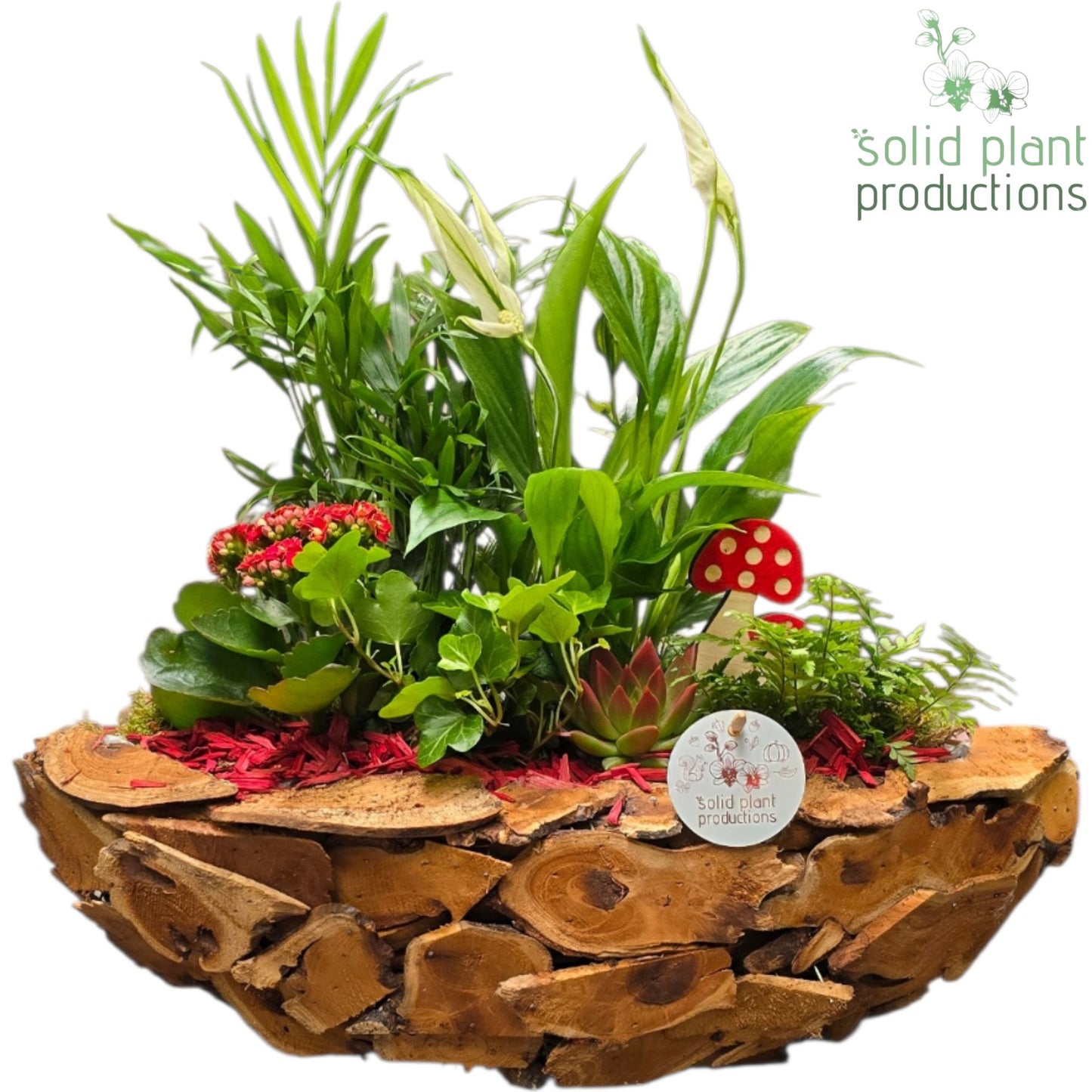 SCE012 Driftwood Boat Red Autumn 45cm 46cm Pot