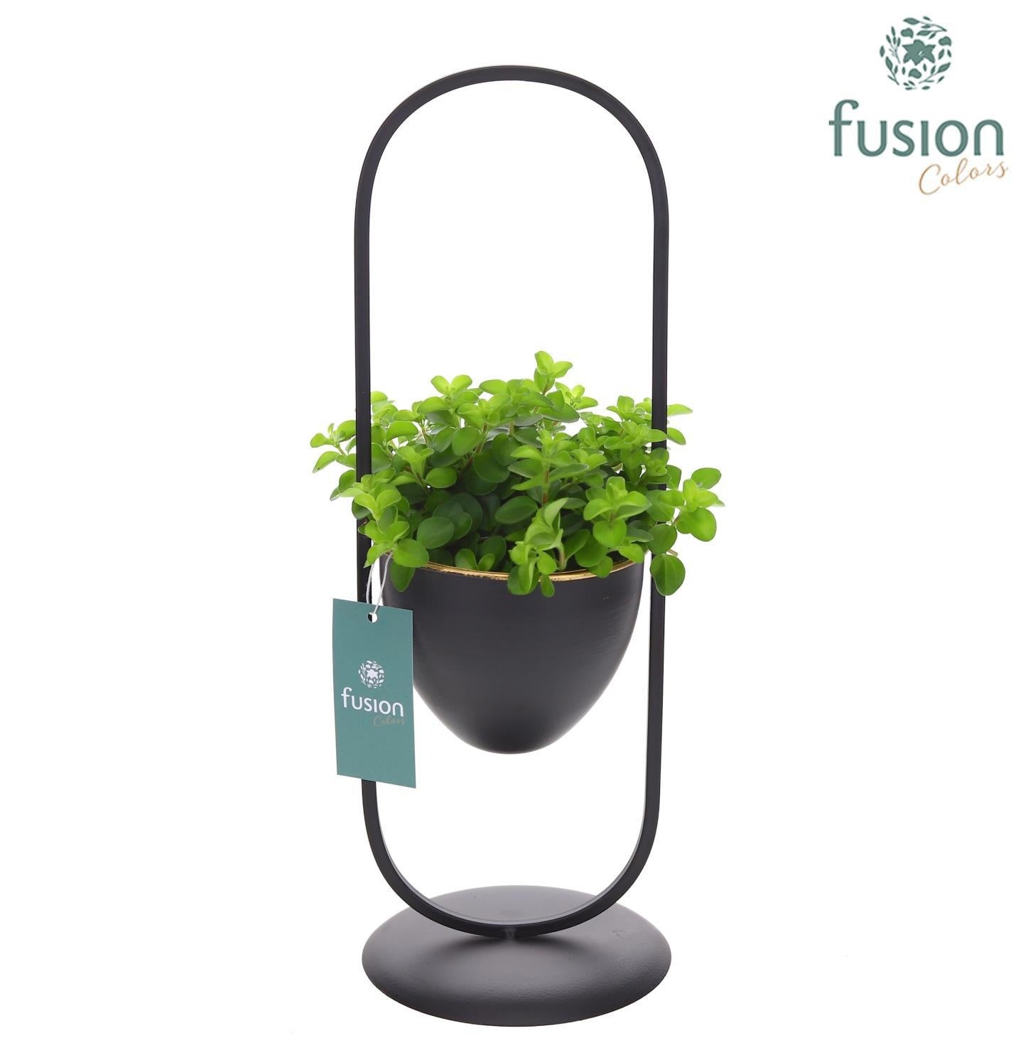 Metaal rek met 1 pot zwart met Groene planten 43cm 15cm Pot