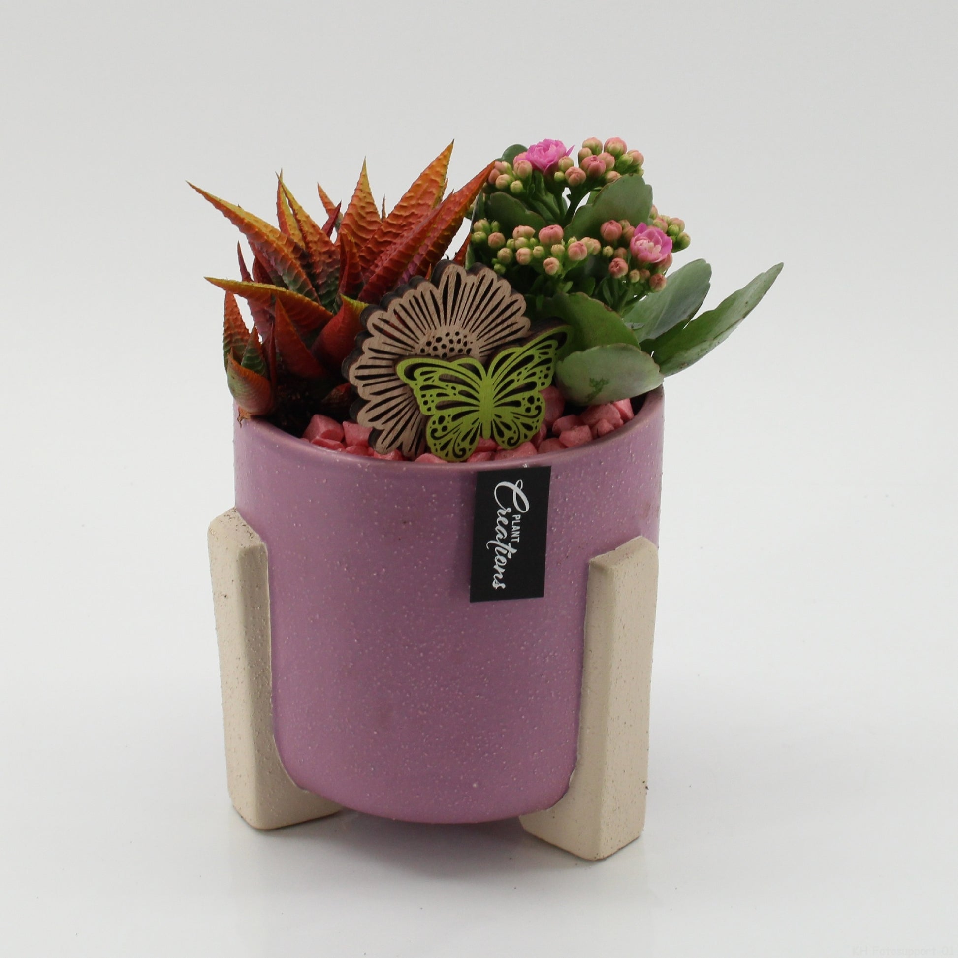 SECR-2617 Summer Essentials Colors 25cm 14cm Pot