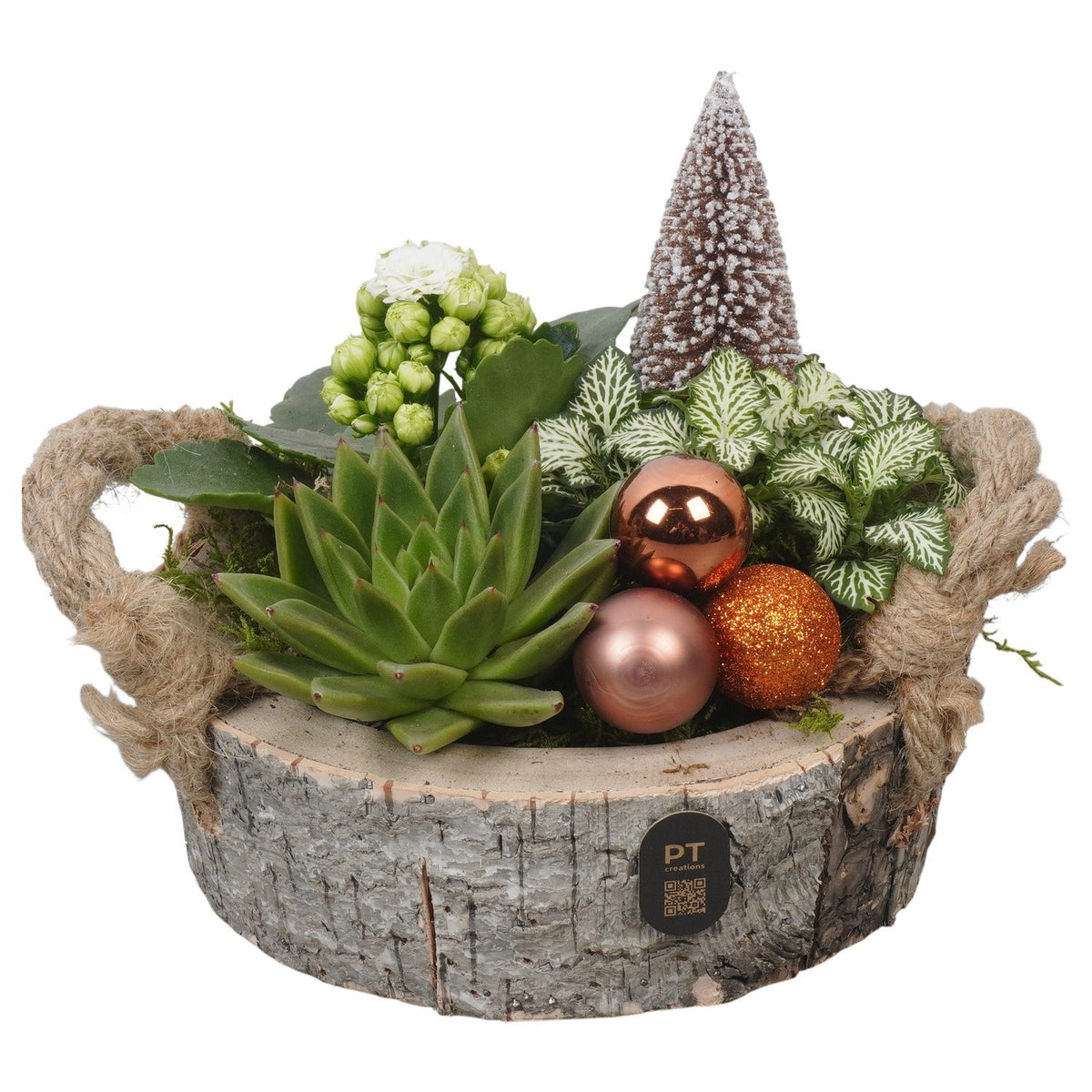 Christmas arrangement 17cm 18cm Pot
