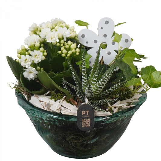 Indoor arrangement 18cm 15cm Pot