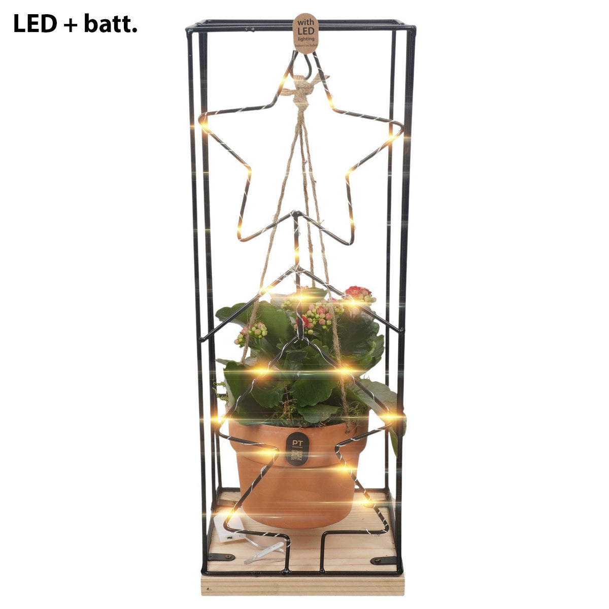 Christmas arrangement 47cm 17cm Pot