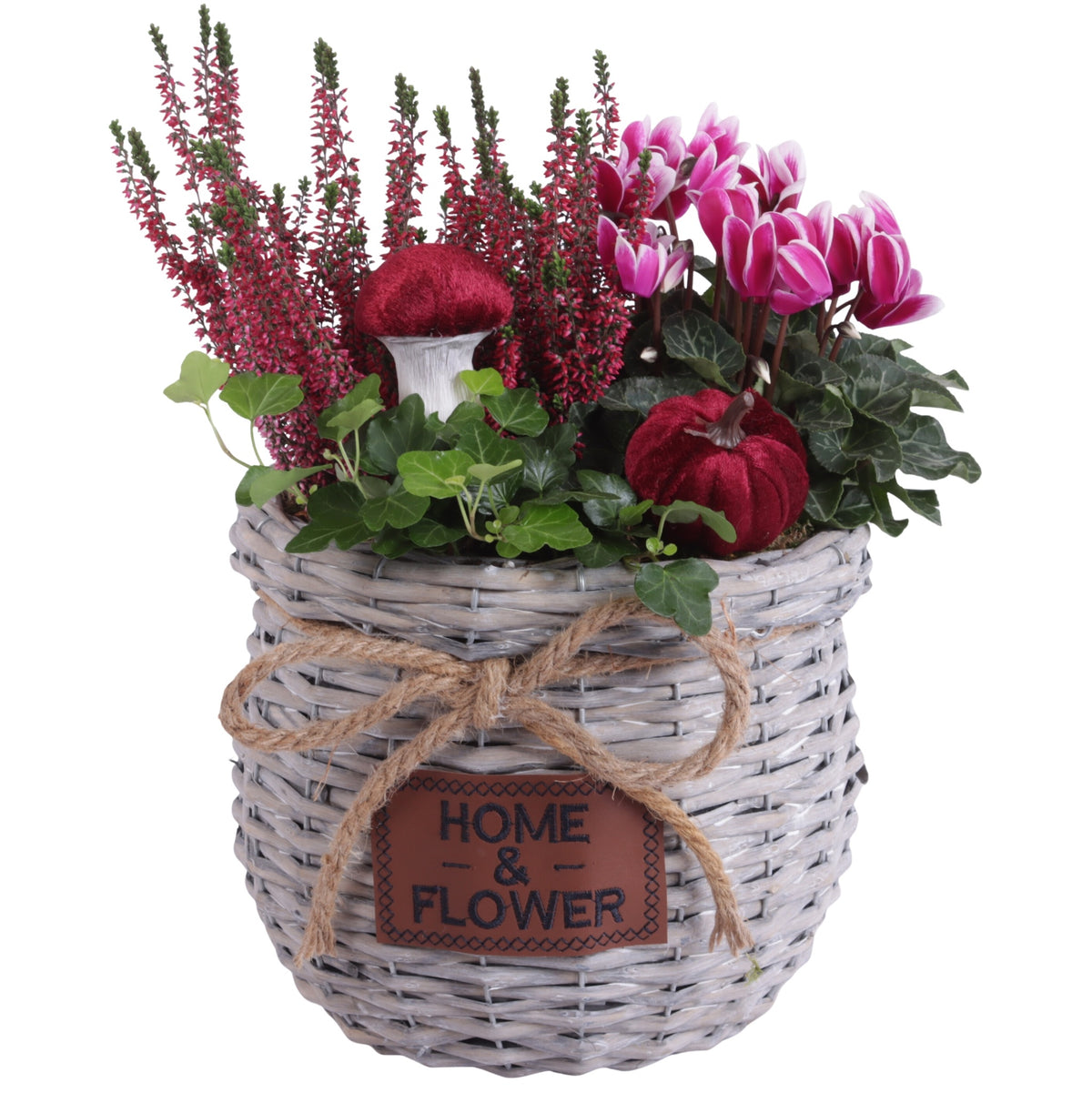 Outdoor arrangement 35cm 25cm Pot