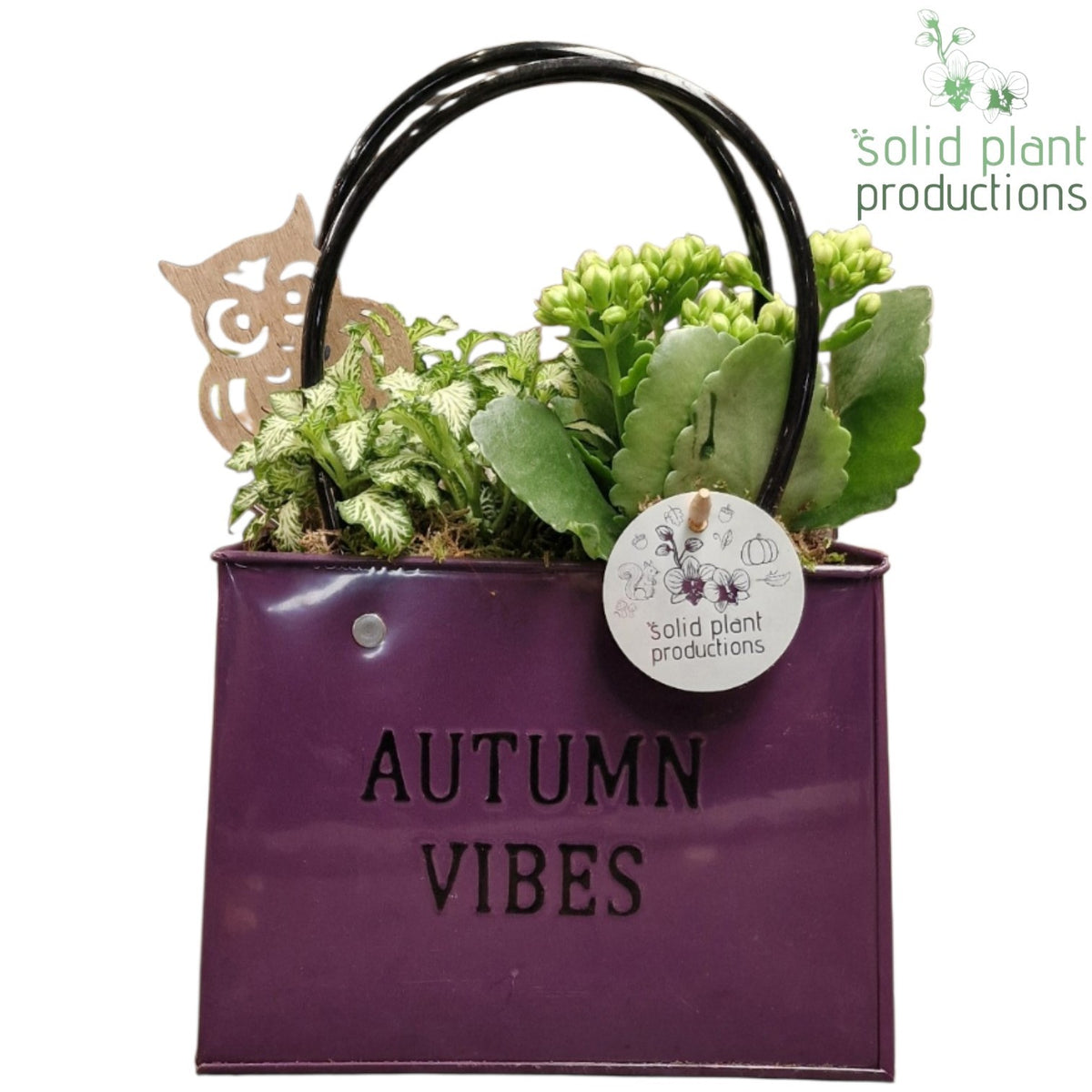 ZKE001 Purple Autumn Bag Large 28cm 18cm Pot