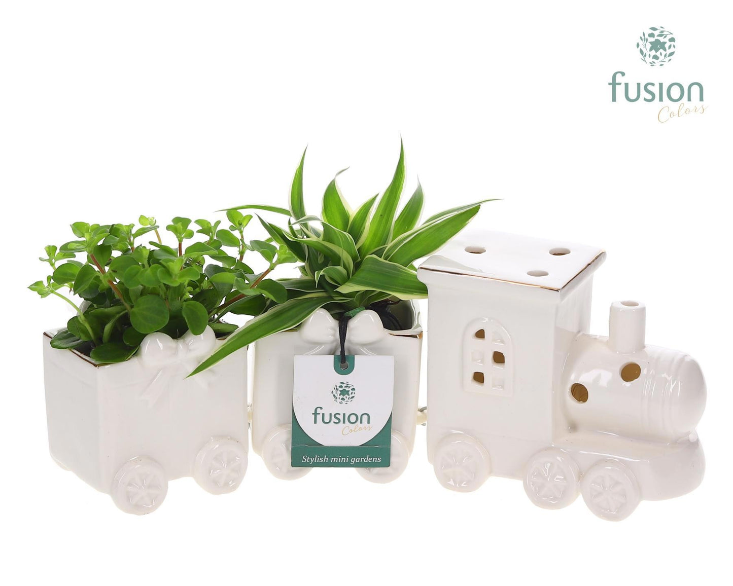 Fusioncolors BV Keramiek Trein Medium met Groenen planten Pack of 3