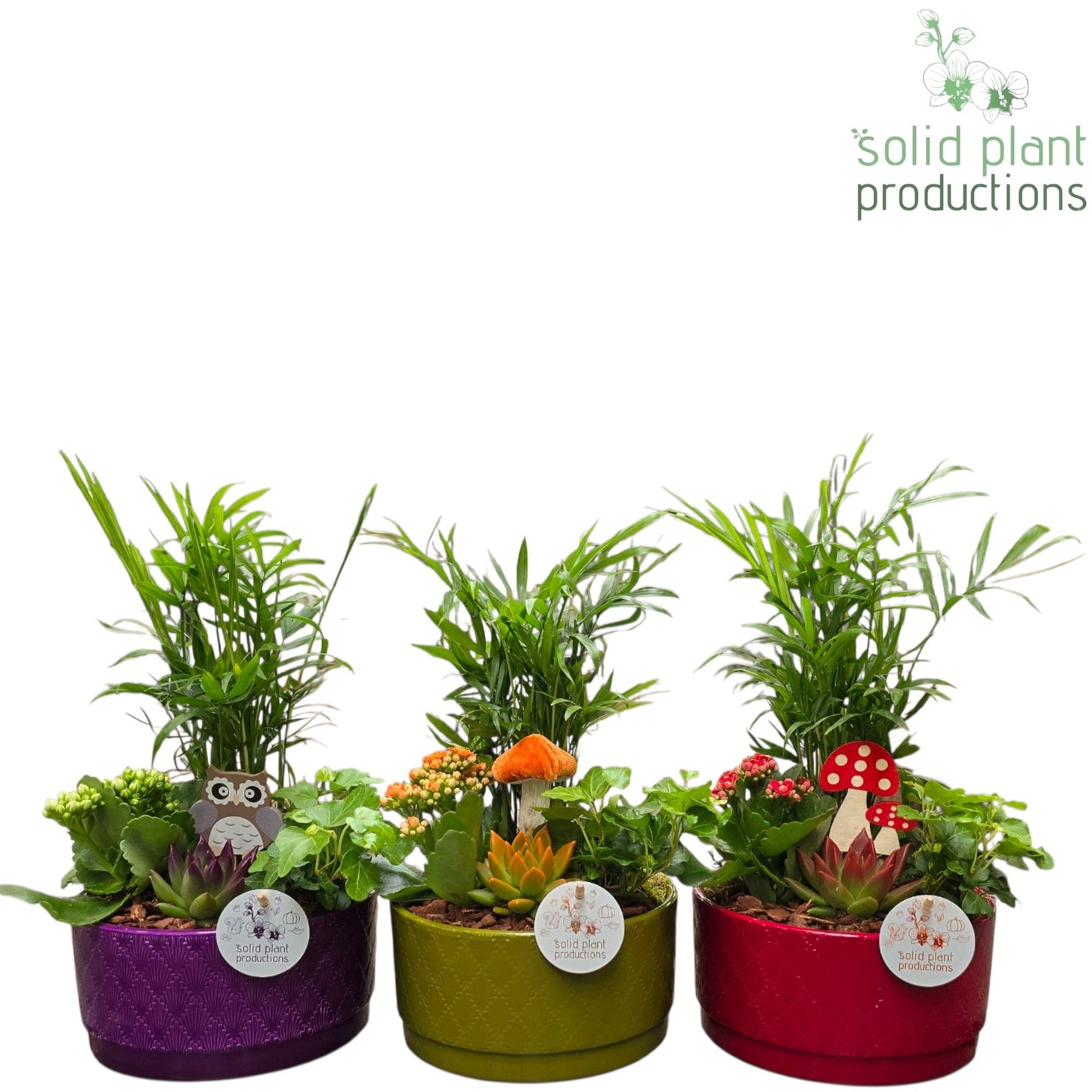 CE003 Loes Autumn Mix 38cm 19cm Pot