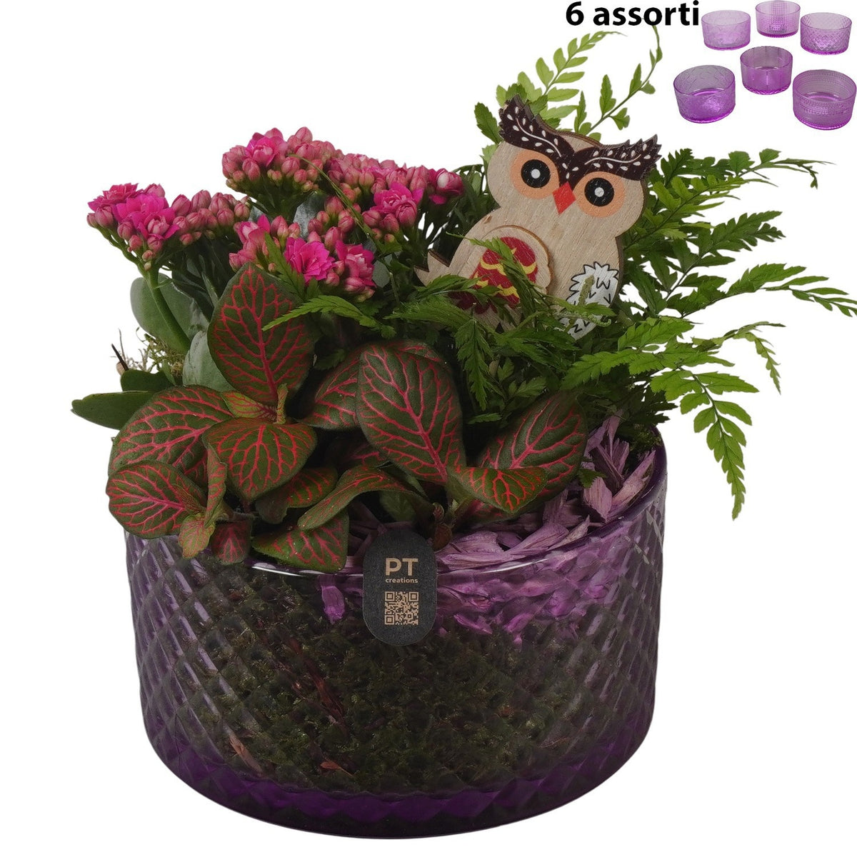 Indoor arrangement 19cm 15cm Pot