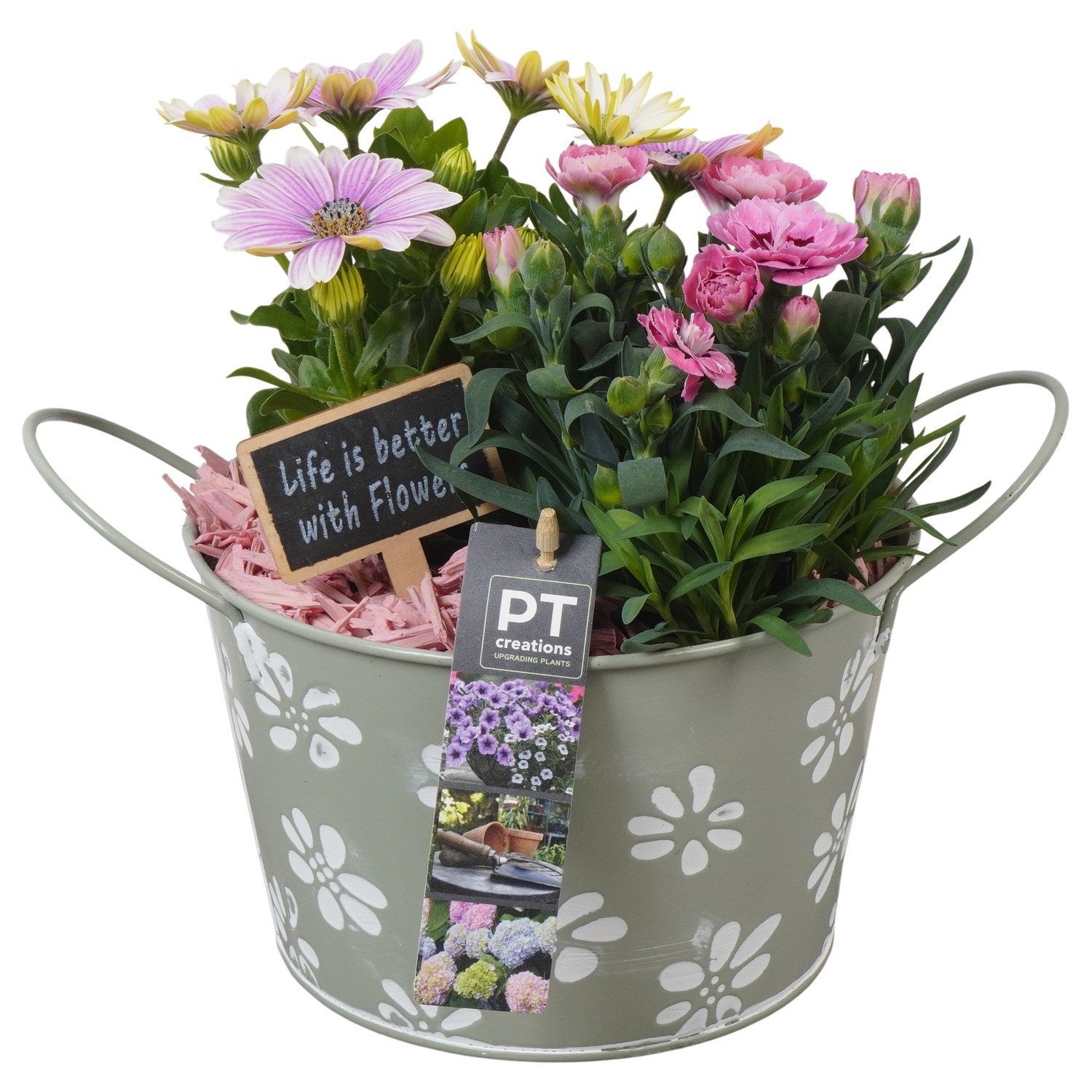 Outdoor arrangement 23cm 18cm Pot