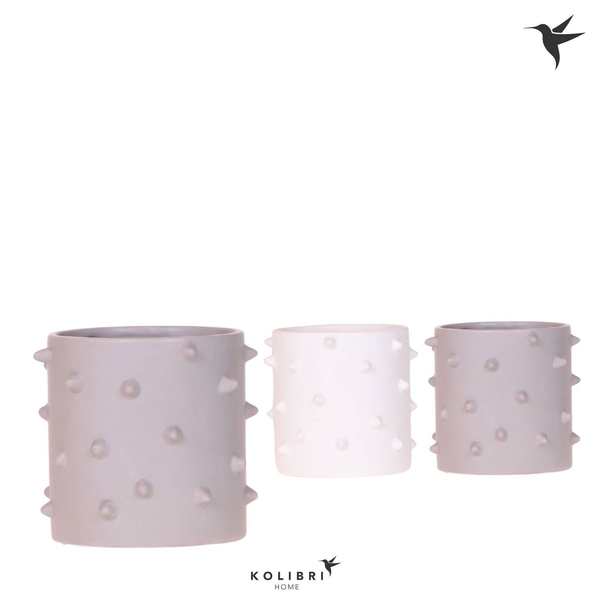 OK Plant Kolibri Home Spike pot mix Pack of 6