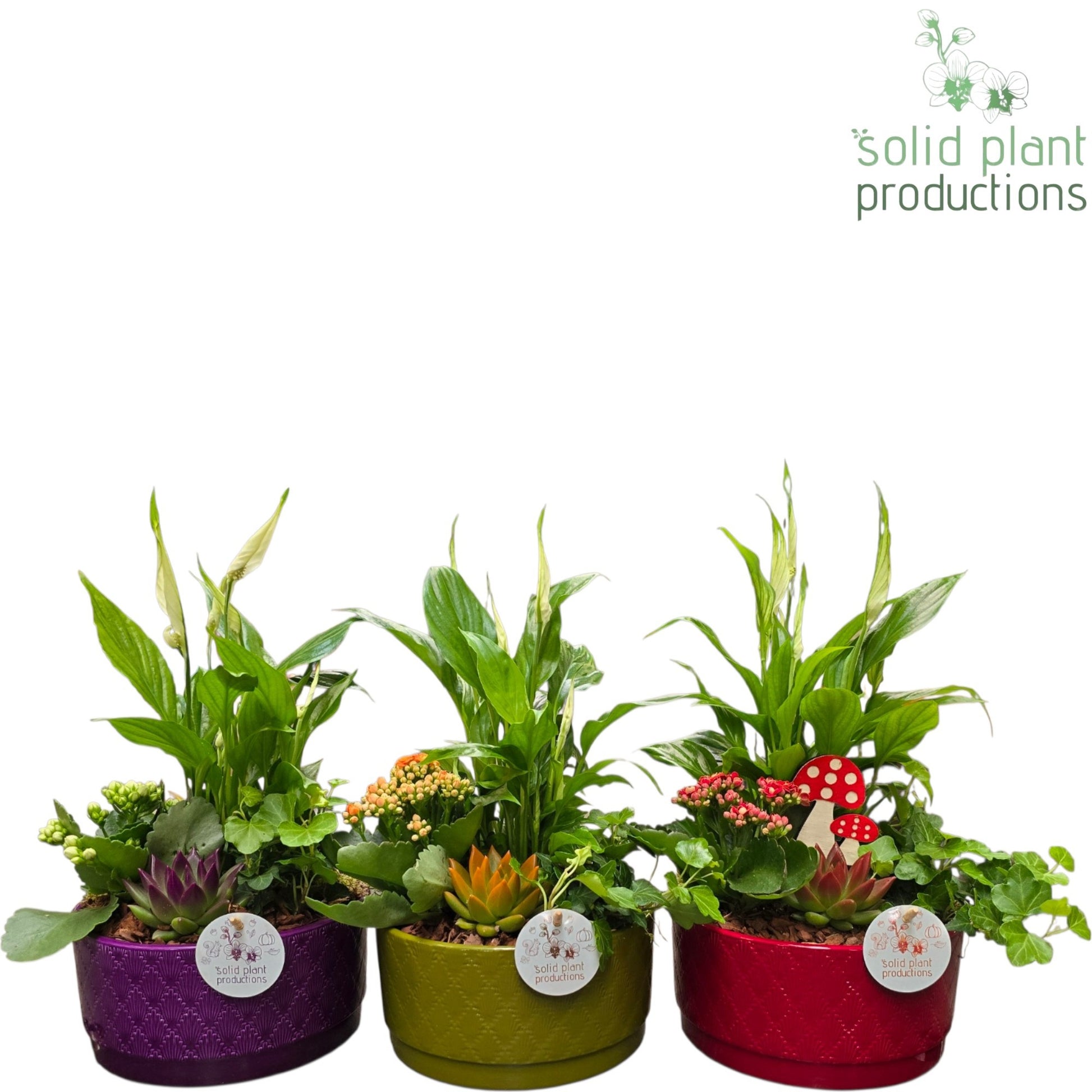 SE003 Loes Autumn Mix 40cm 18cm Pot