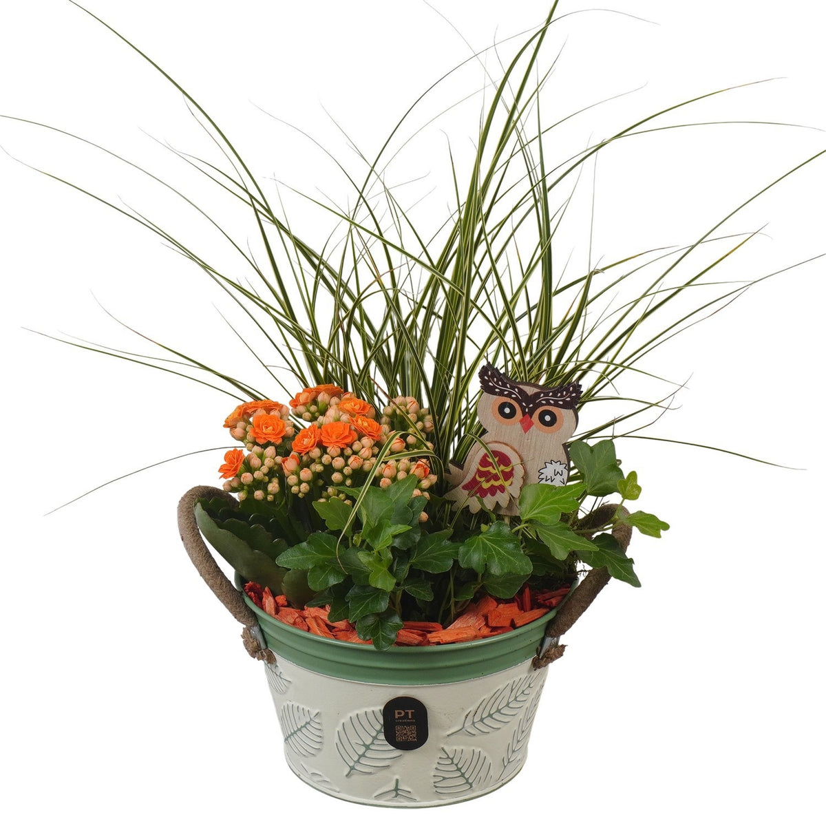 Indoor arrangement 40cm 15cm Pot