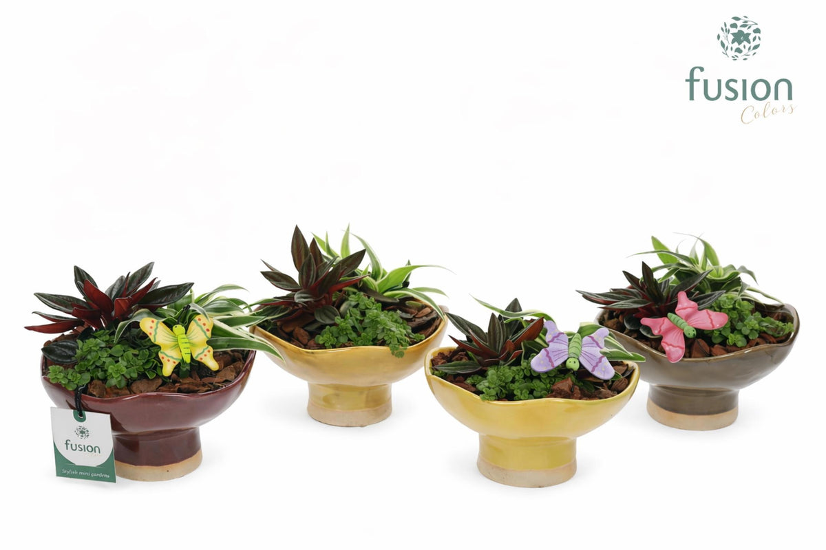 Keramiek schaal Tessa op voet Medium met Voorjaar arrangement 15cm 16cm Pot