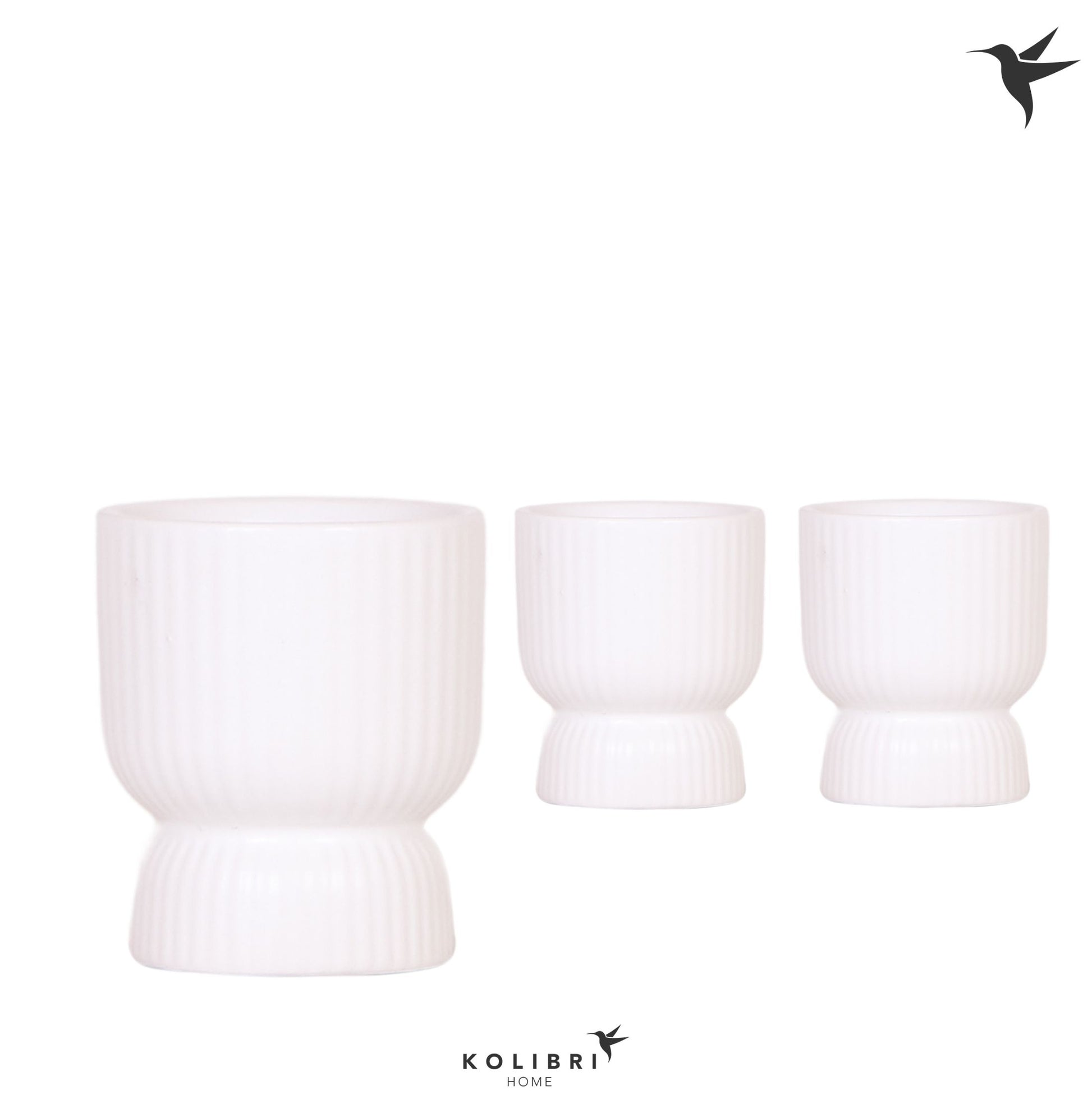 OK Plant Kolibri Home Diabolo pot white Pack of 12