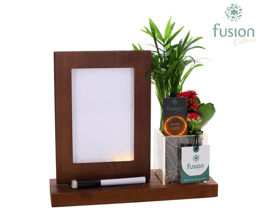 Acryl LED Glow Art Frame met Arrangement kalanchoe en chameadorea 29cm 23cm Pot