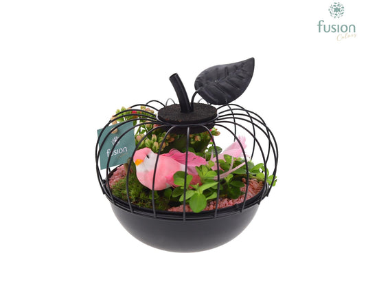 Metaal appel zwart Small met Arrangement 15cm 17cm Pot