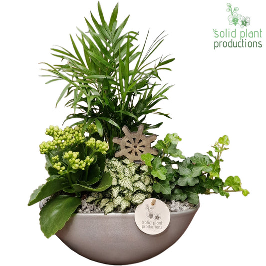 CH005 Eyleen Steel 40cm 25cm Pot