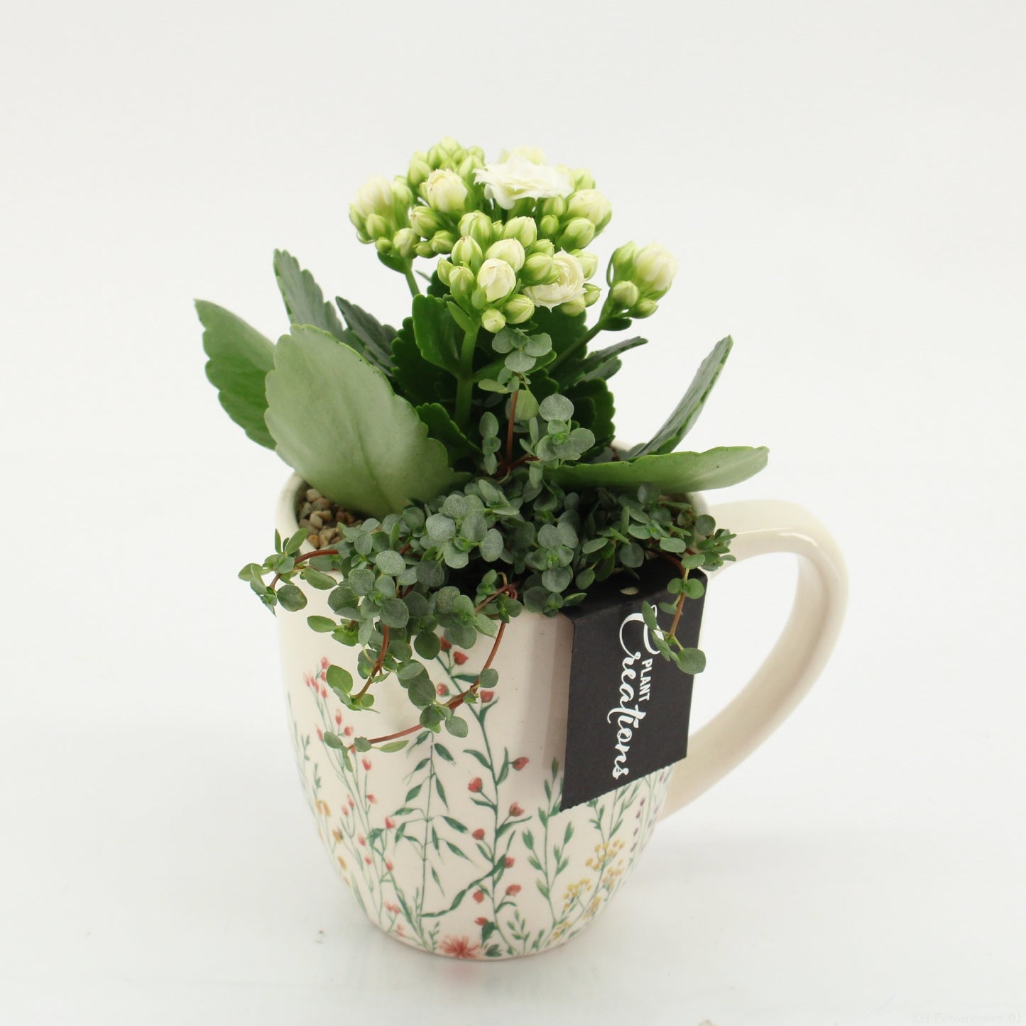 ESCR-2601W Essentials 20cm 11cm Pot