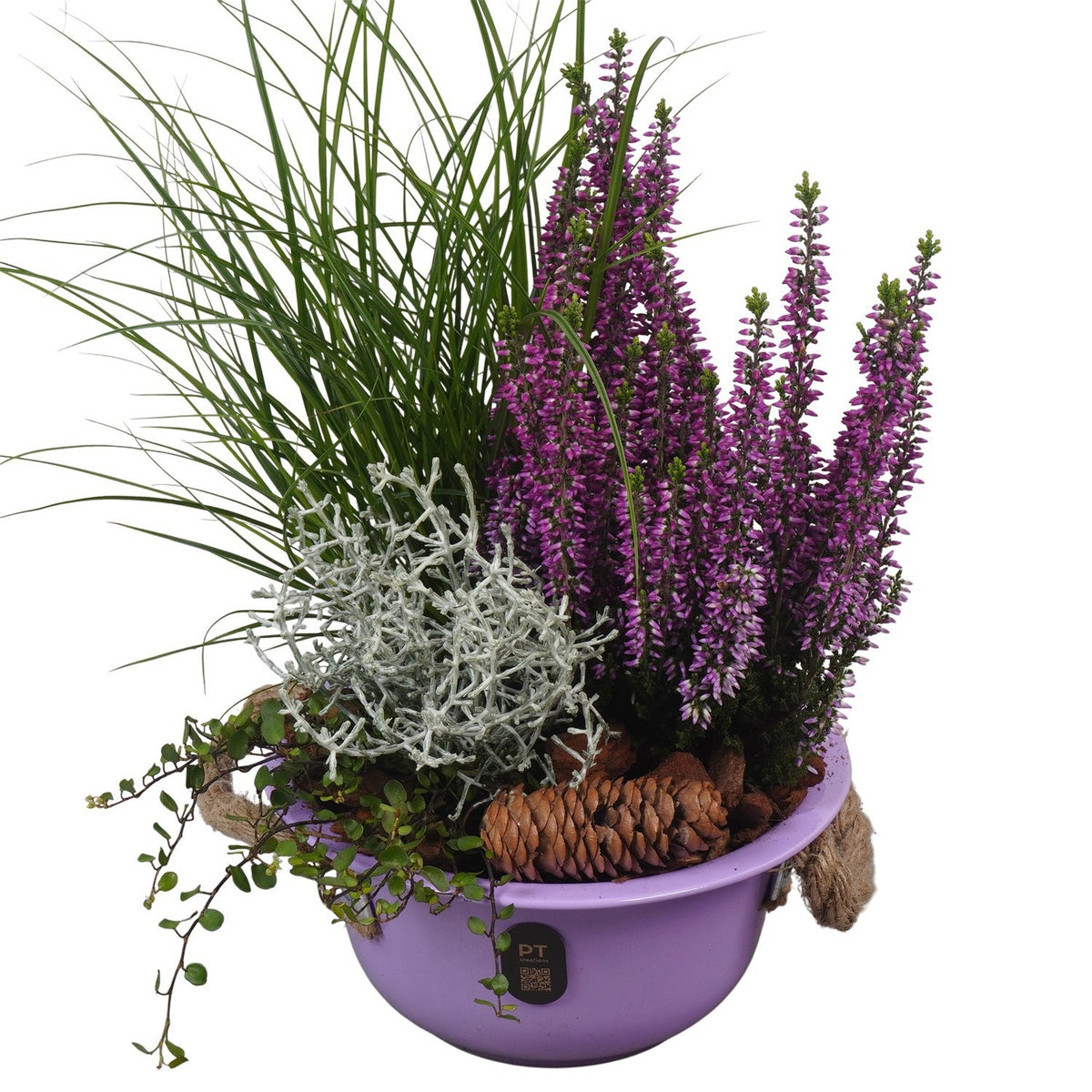 Outdoor arrangement 30cm 18cm Pot