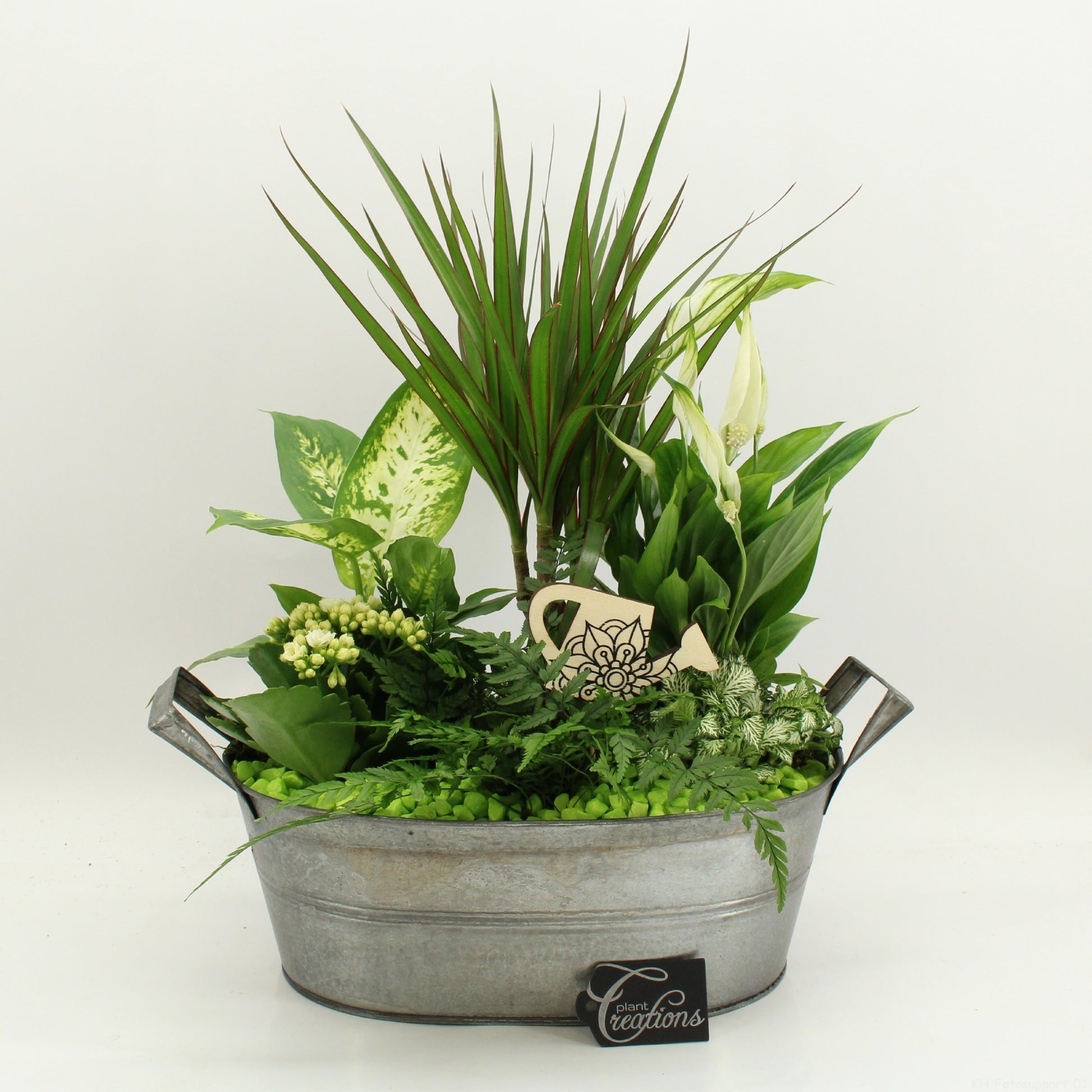 Indoor flowering arrangement 50cm 32cm Pot