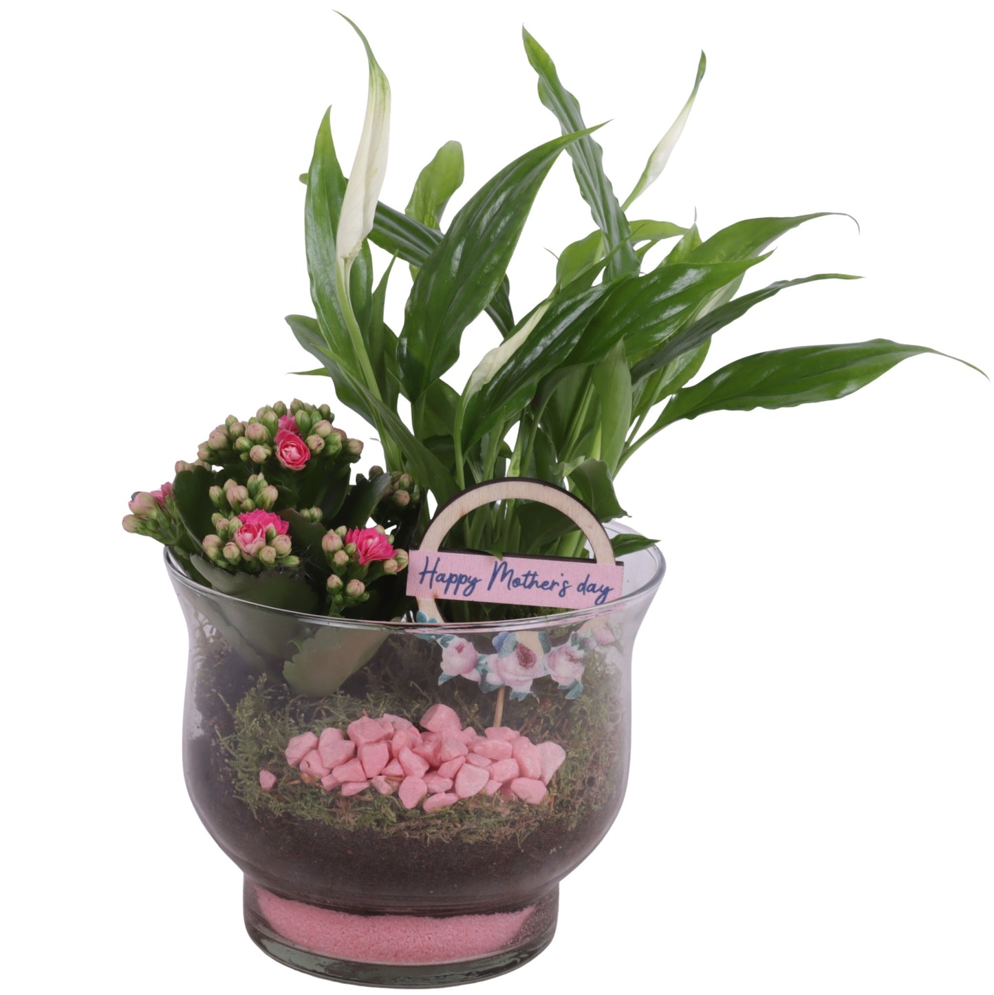 Indoor arrangement 25cm 16cm Pot