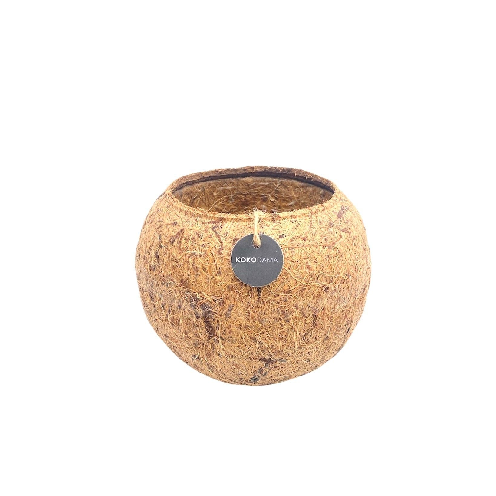 Decorated pottery 15cm 15cm Pot