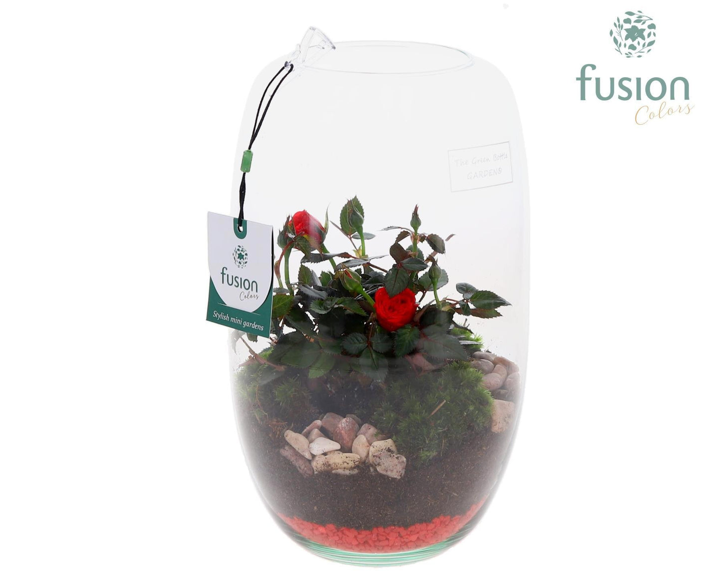 Green Bottle Isabella Medium love met Potroos D15 25cm 15cm Pot