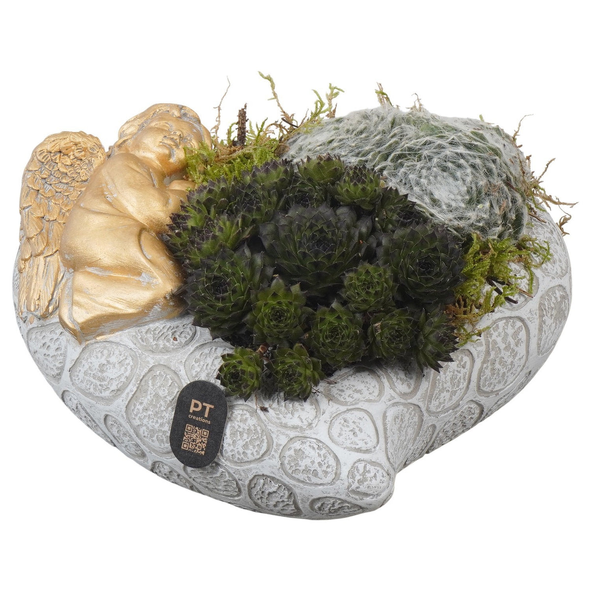 arr. all saints day 9cm 20cm Pot