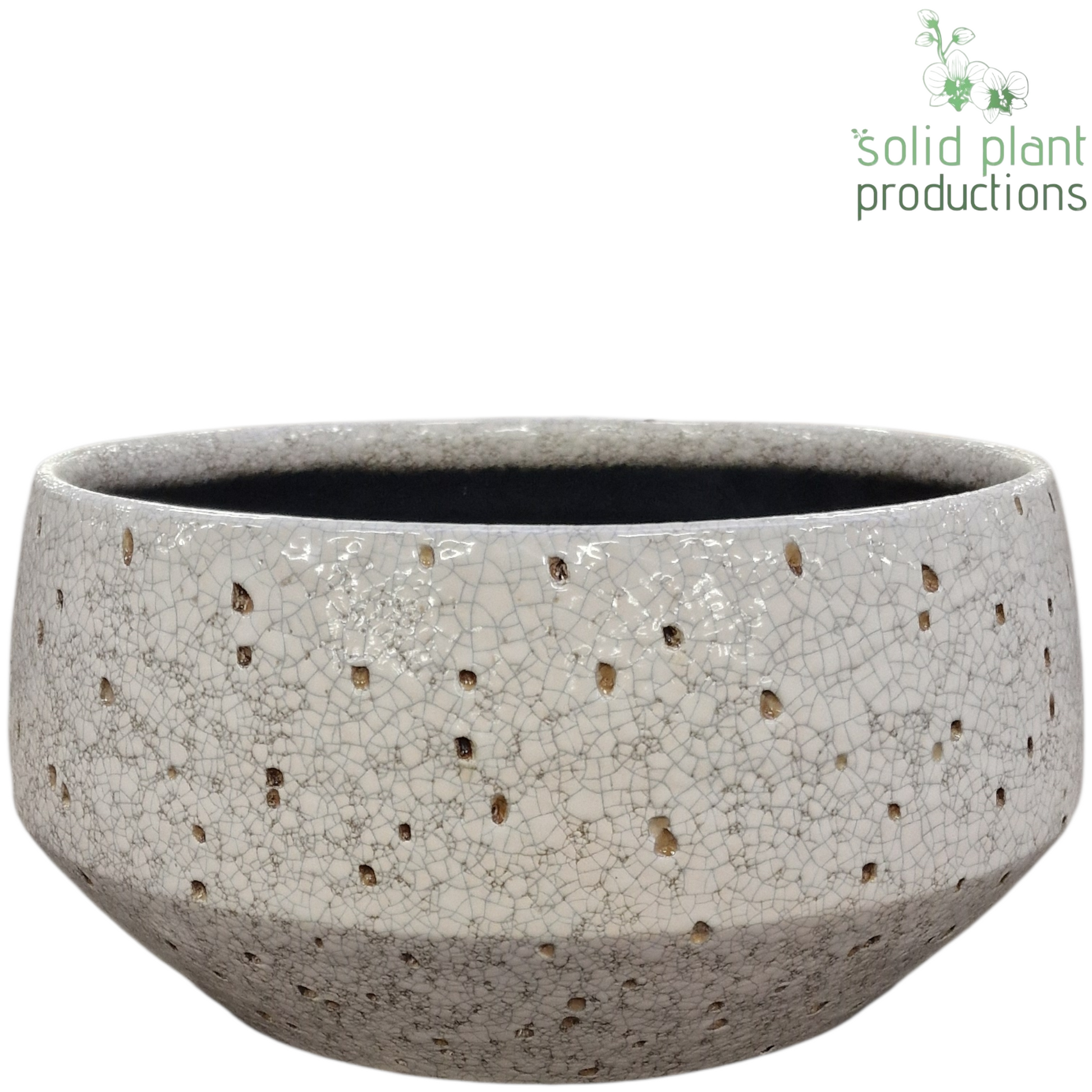 Solid Plant Productions C110 Sophia Broken White Large Pack of 4