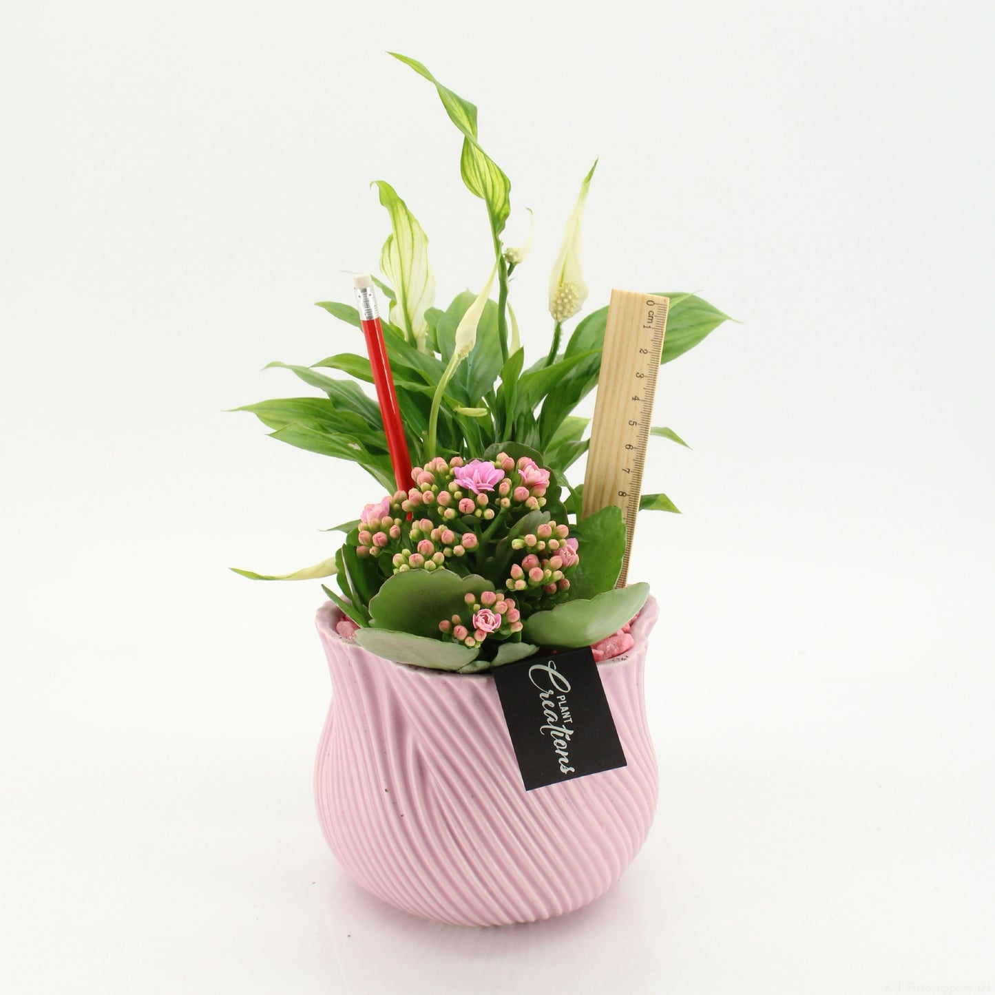 SSCR-2616 School Creations 35cm 15cm Pot
