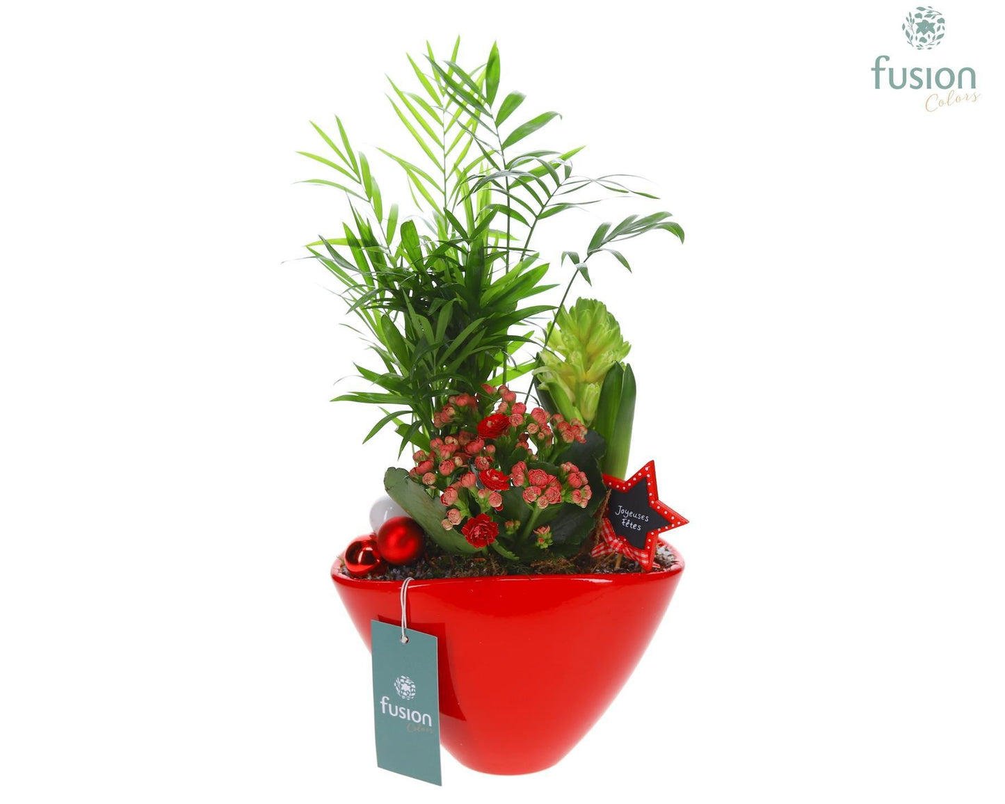 Keramiek ovaal Medium met Kerst Arrangement 43cm 23cm Pot