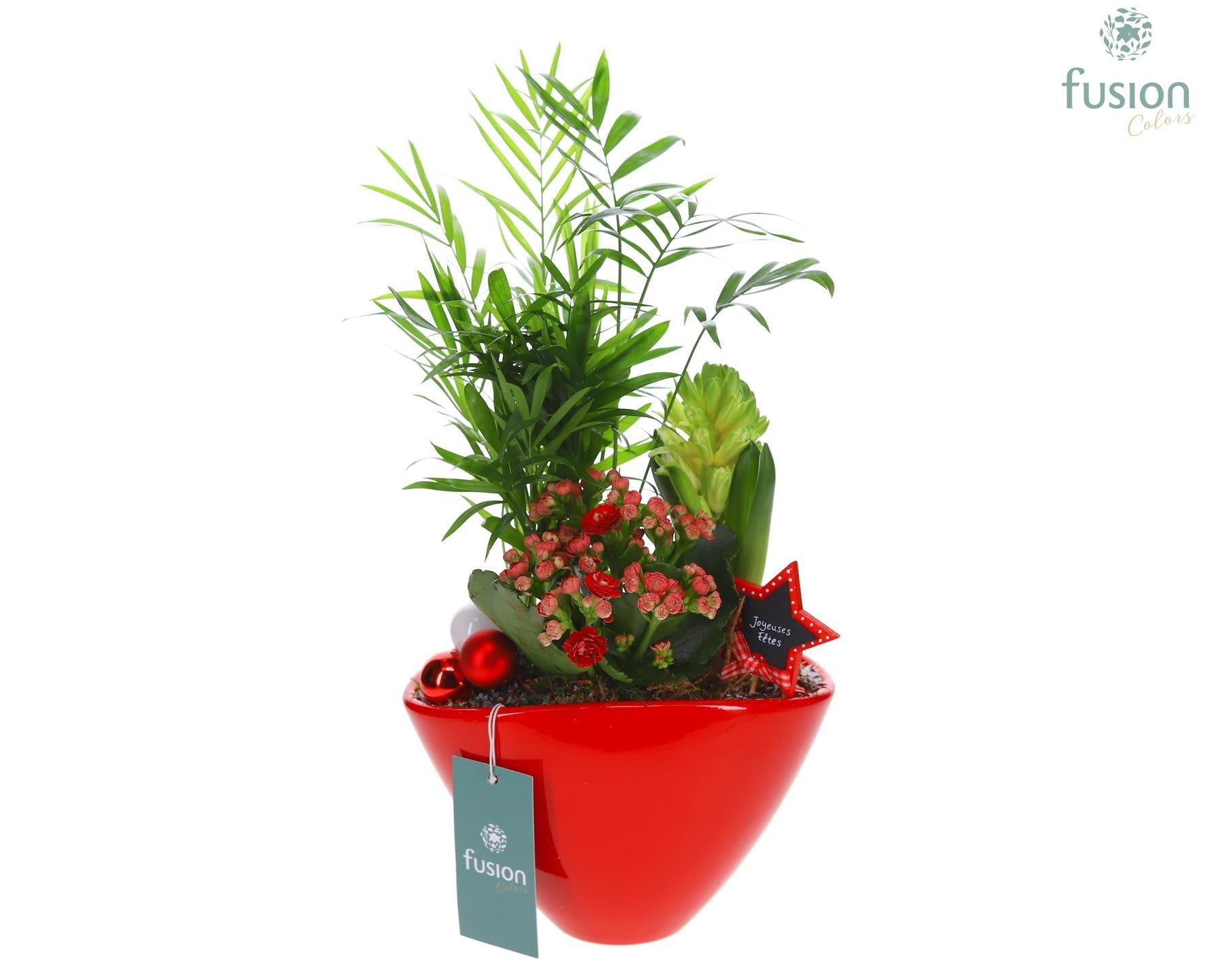 Keramiek ovaal Medium met Kerst Arrangement 43cm 23cm Pot