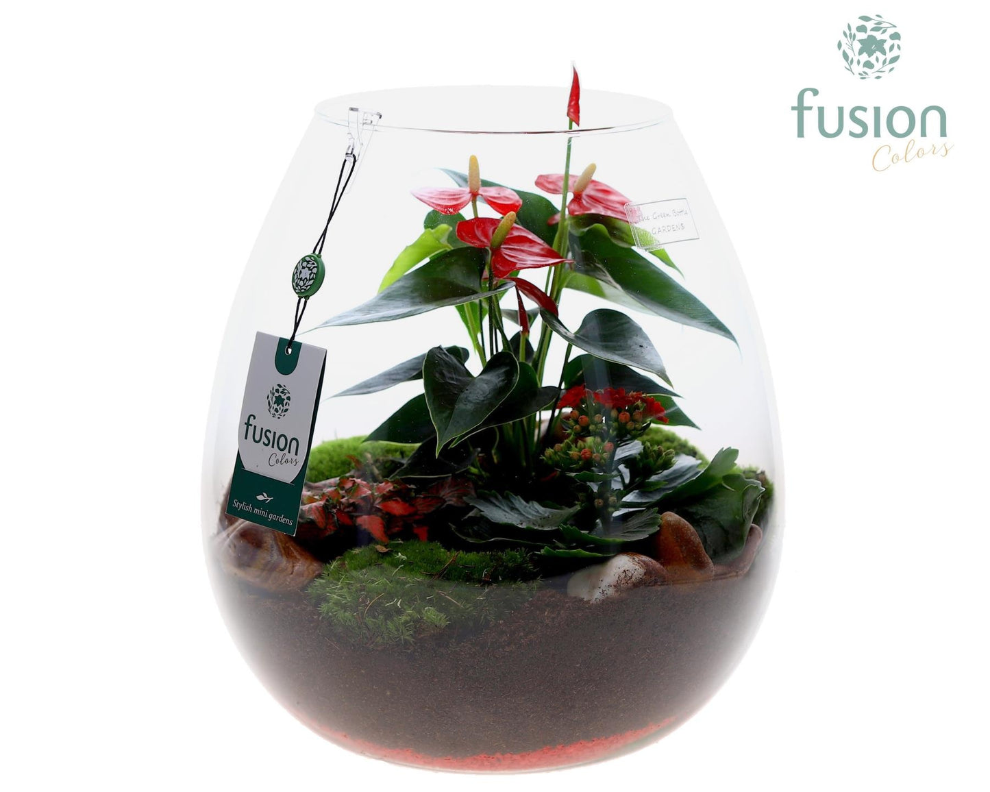 Fusioncolors BV Green Bottle Abby XLarge met arrangement 5pp Pack of 1