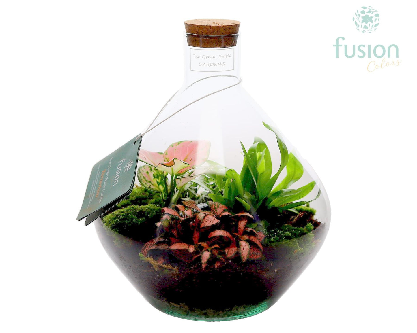 Terrarium John Medium met arrangement 25cm 22cm Pot