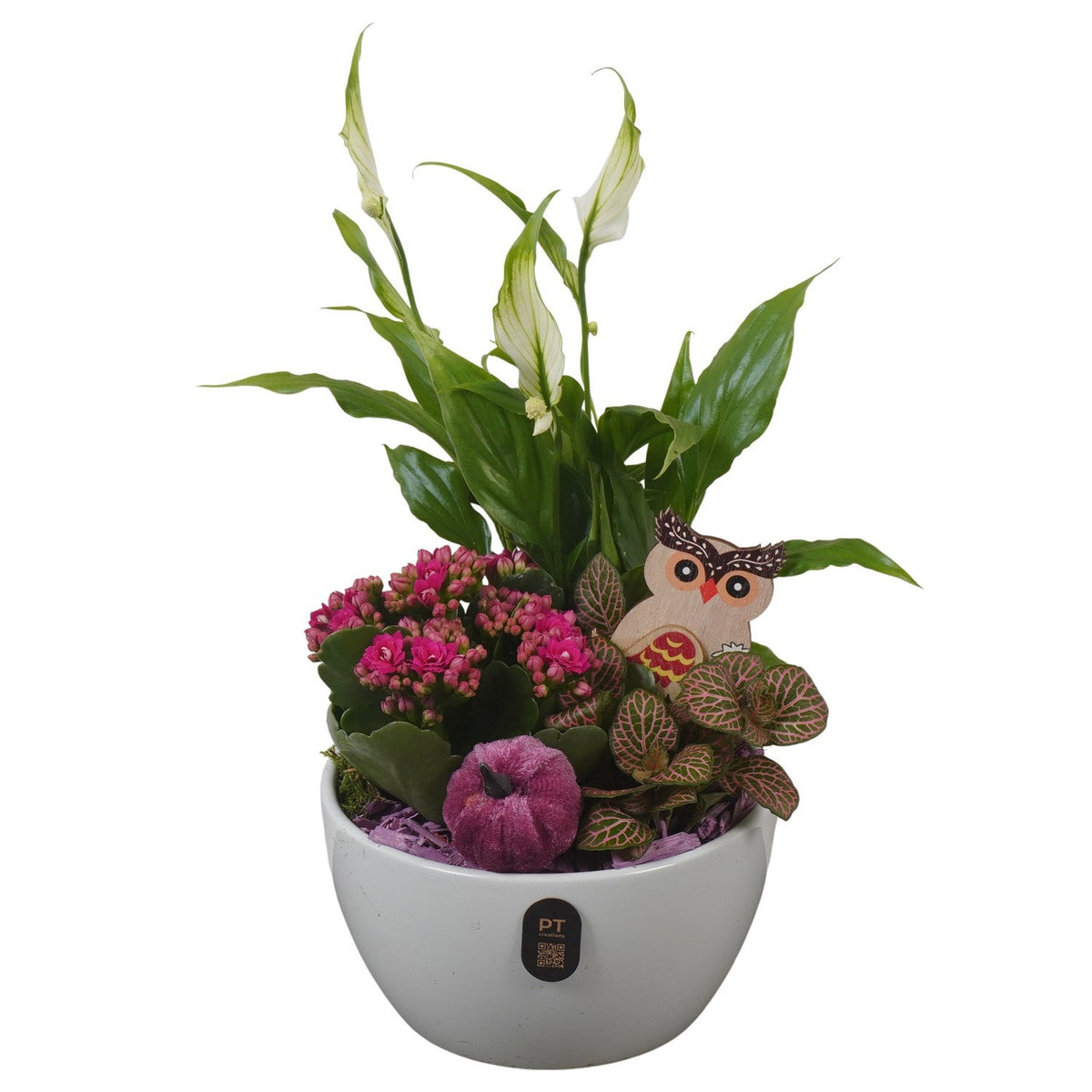 Indoor arrangement 33cm 16cm Pot