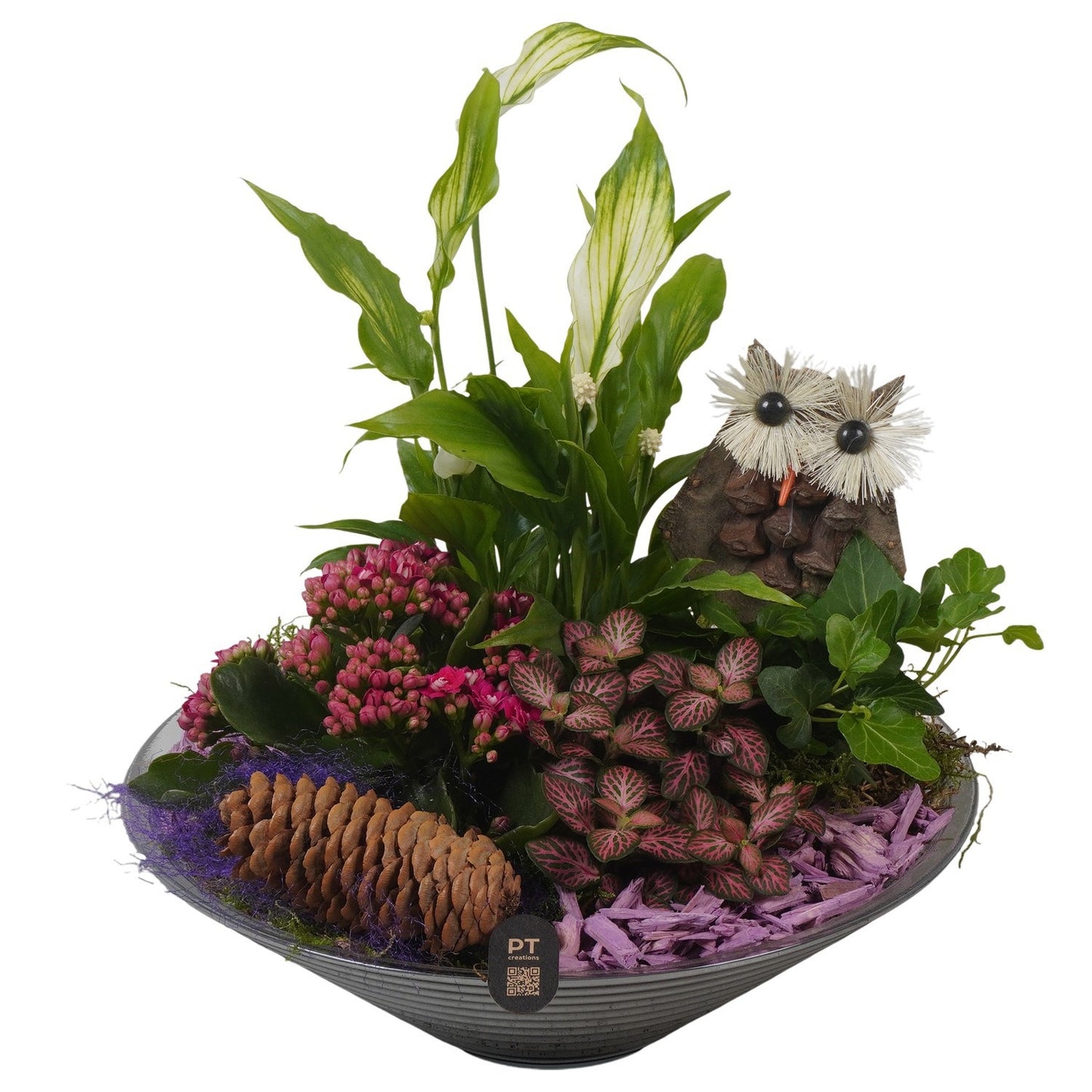 Indoor arrangement 26cm 26cm Pot