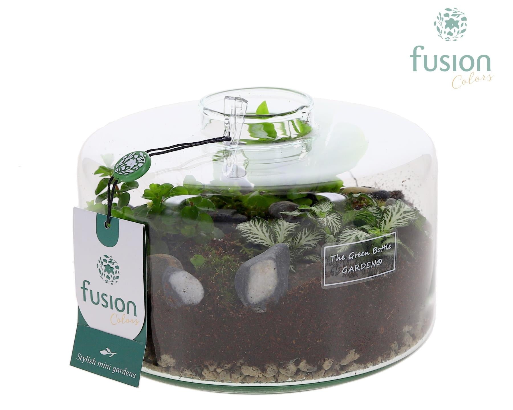 Green Bottle Kyra Medium met arrangement 15cm 19cm Pot