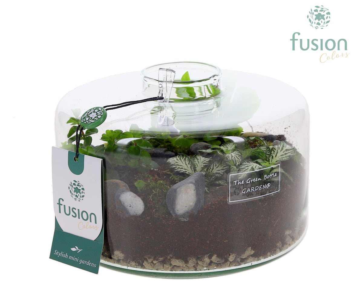 Green Bottle Kyra Medium met arrangement 15cm 19cm Pot