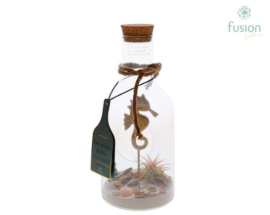 arr. Tillandsia 35cm 15cm Pot