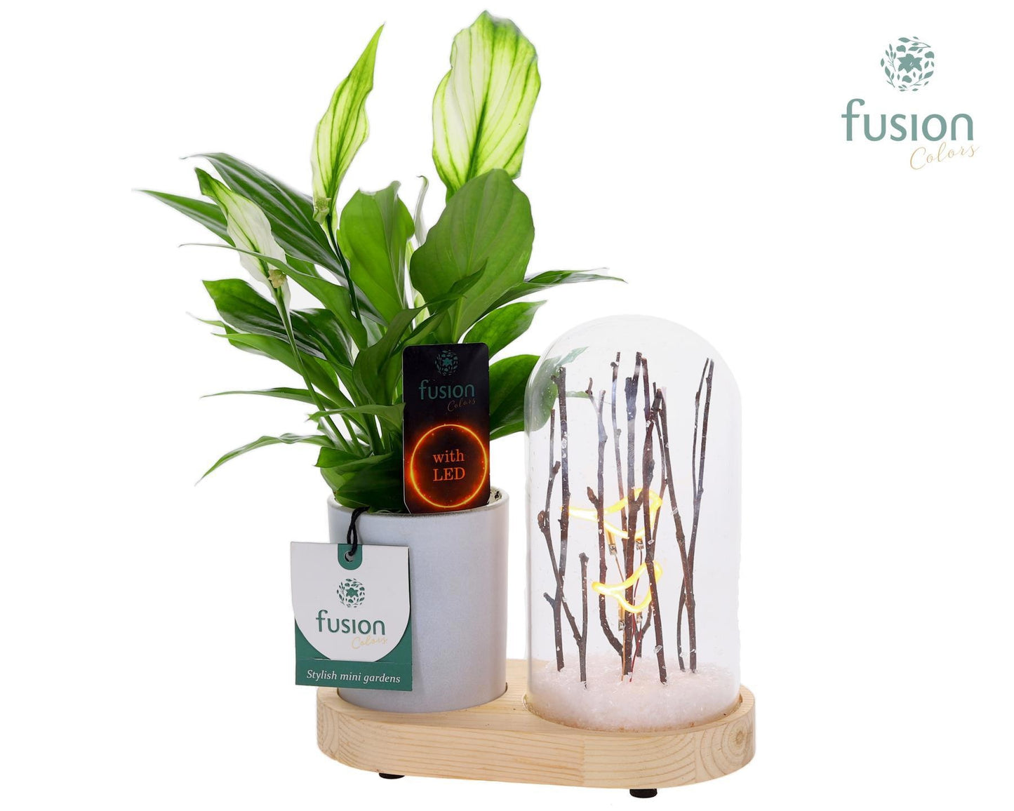Fusioncolors BV Houten LED Lichtbal Vogels houten planter met Spathiphyllum Pack of 6