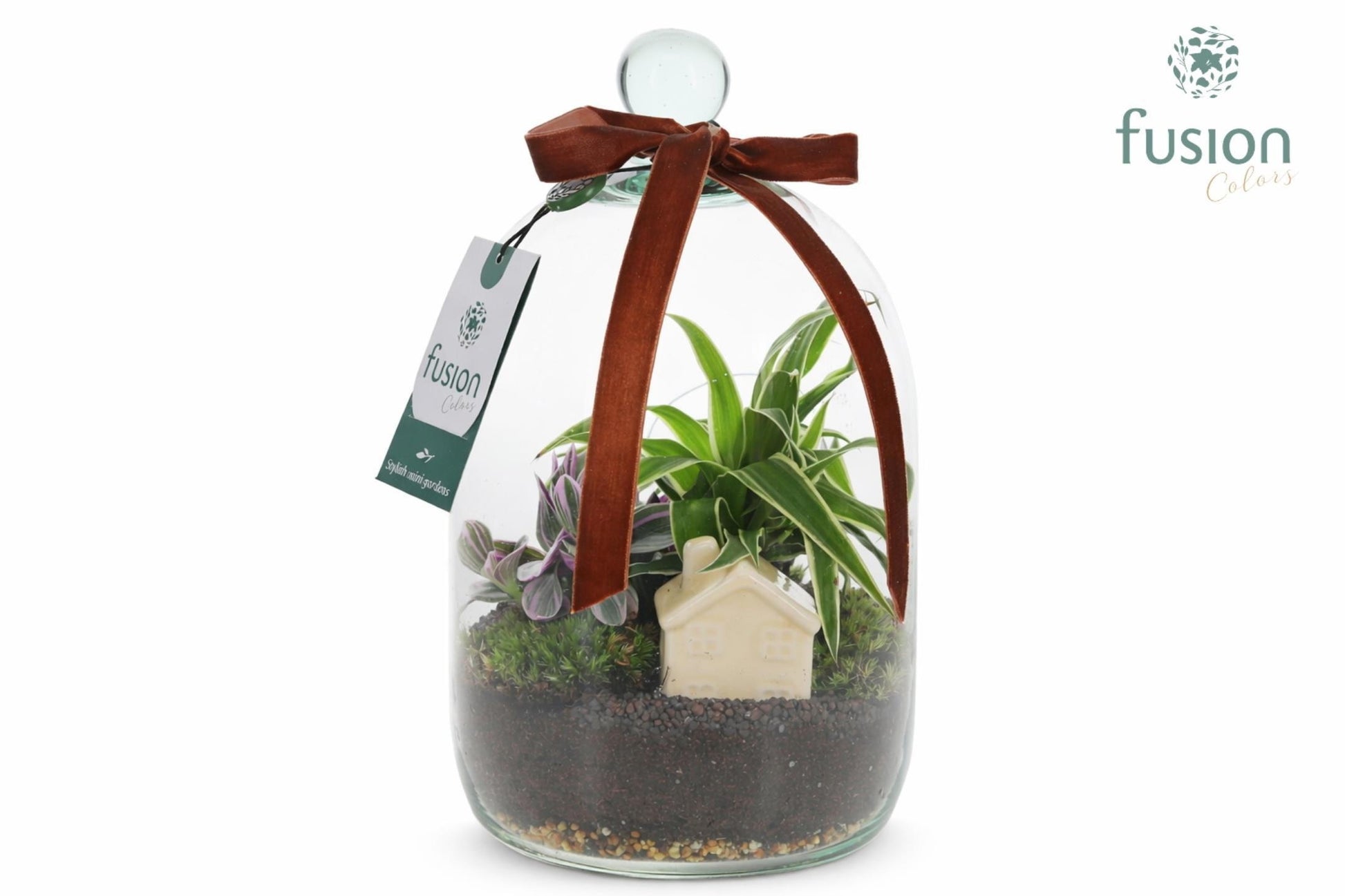 Green BottleNovella Small met arrangement 25cm 15cm Pot