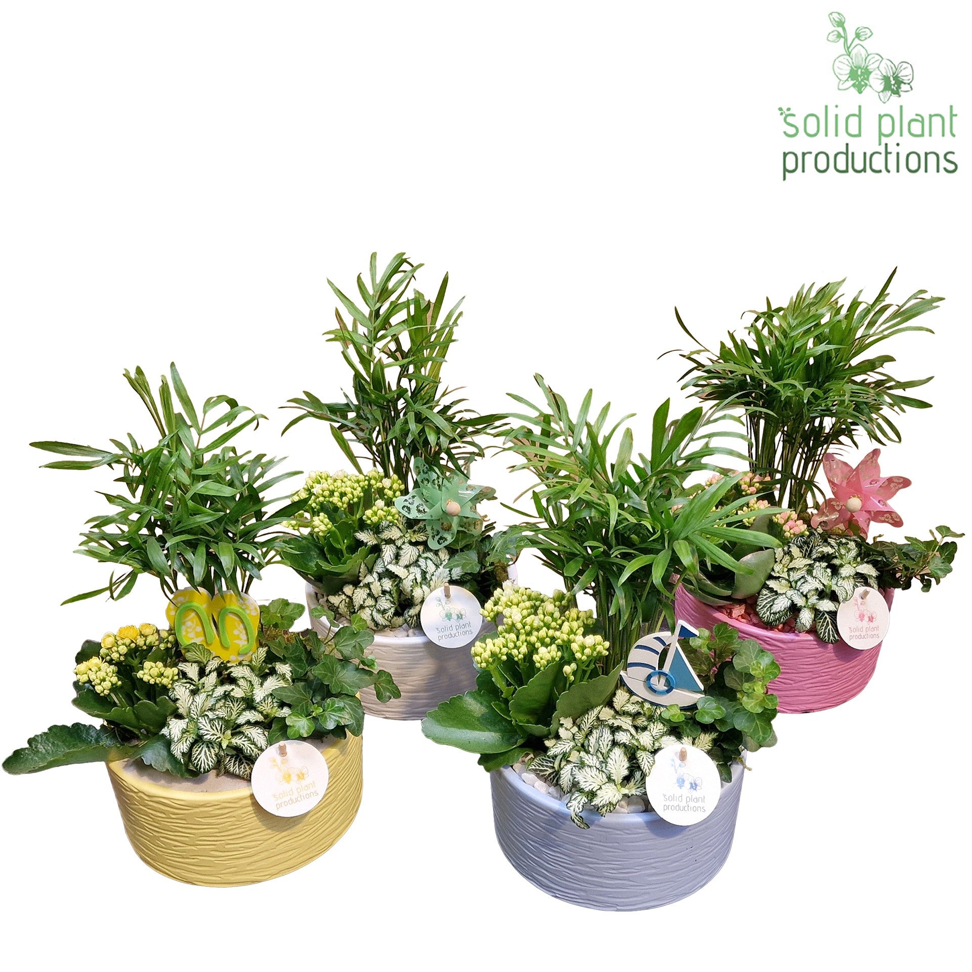 CH003 Loes Summer Mix 40cm 18cm Pot