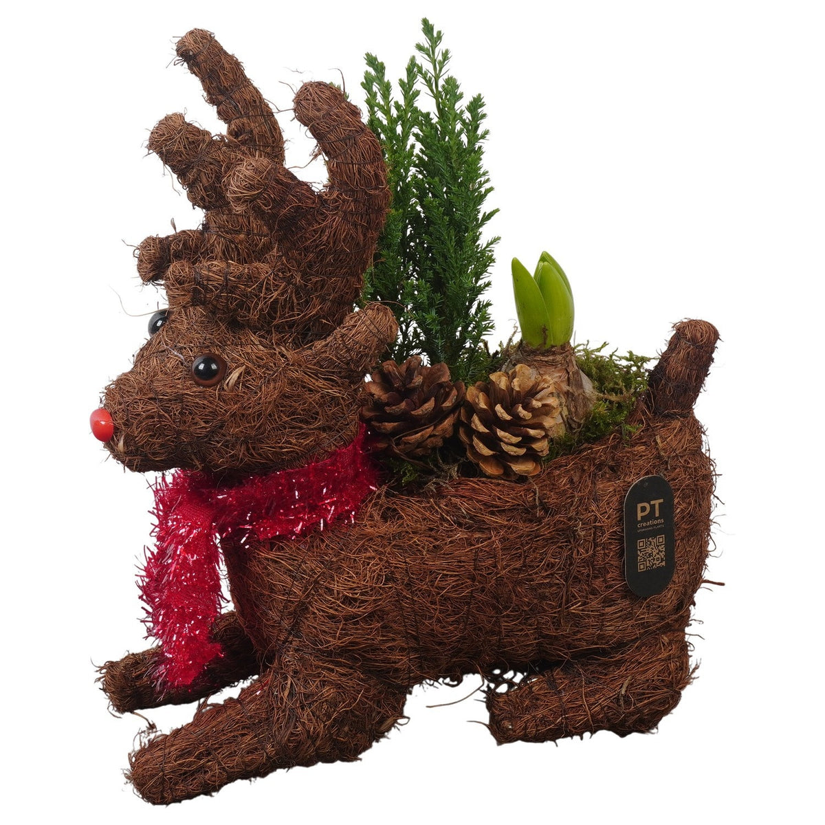 Seasonal Plants