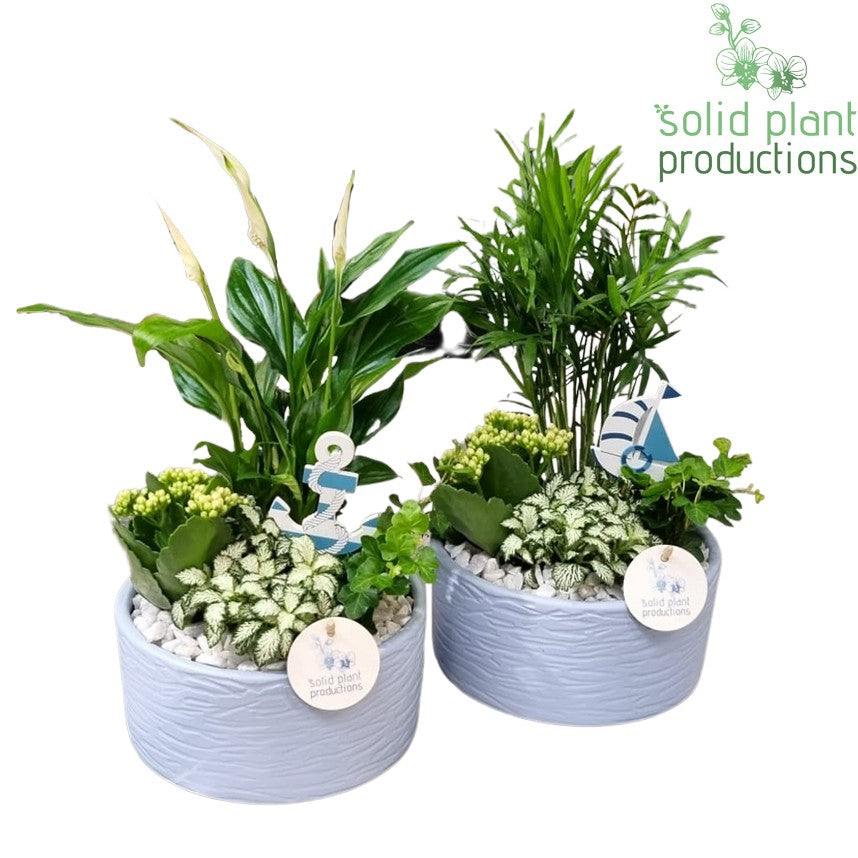 SC003 Loes Blue Mix 38cm 18cm Pot