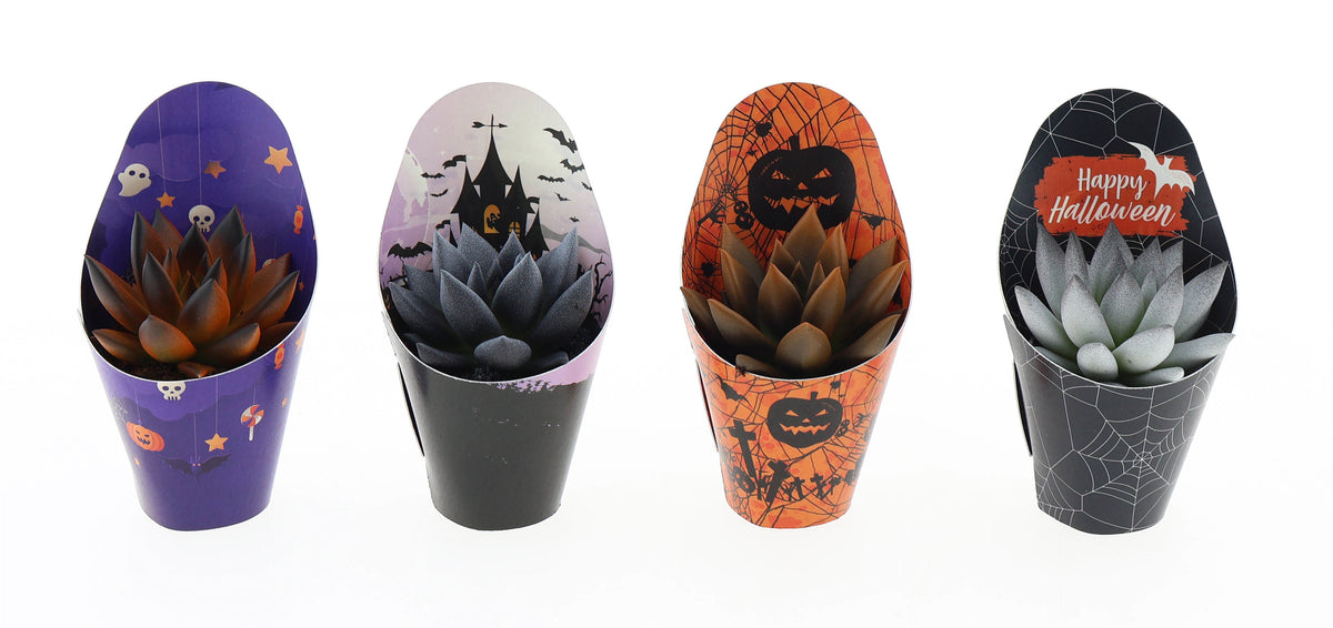 Potcover halloween rainbow bicolor 8cm 5.5cm Pot