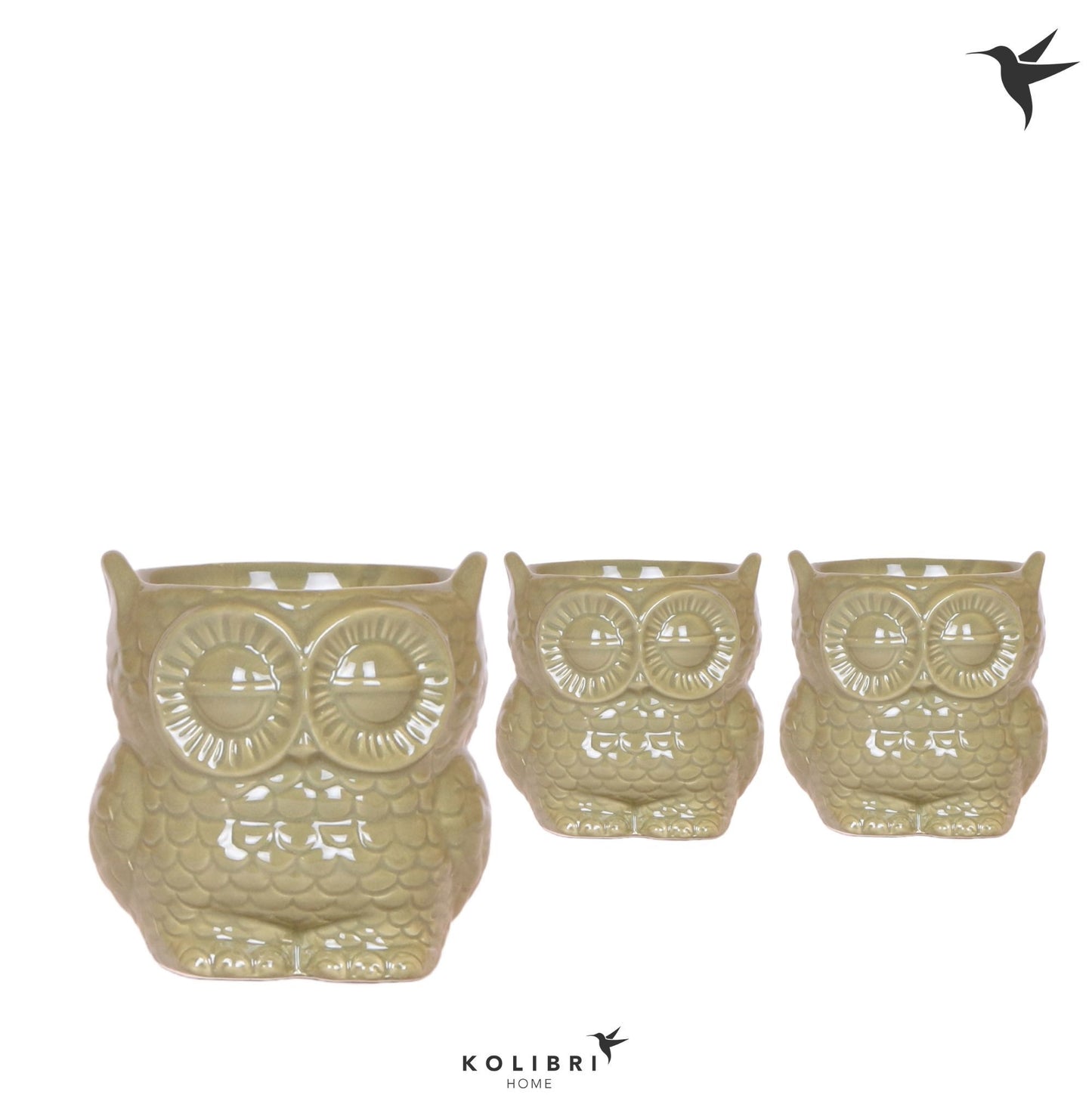OK Plant Kolibri Home Owl pot green Pack of 6
