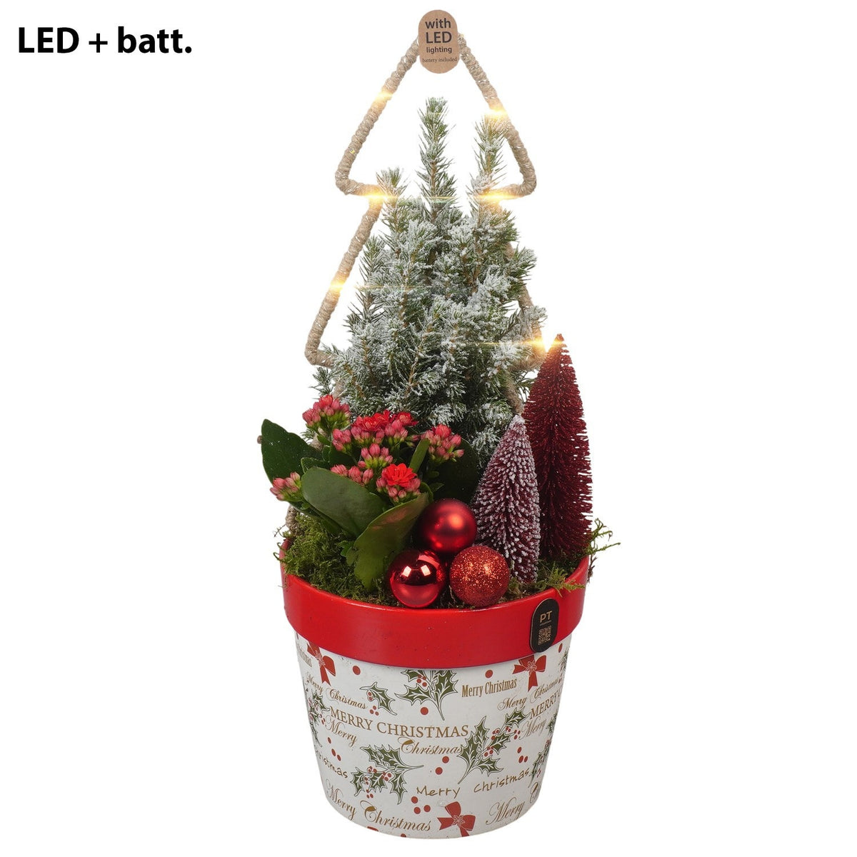 Christmas arrangement 47cm 16cm Pot