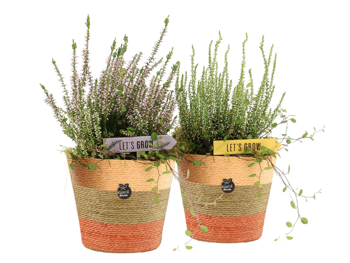 Outdoor arrangement 40cm 14cm Pot
