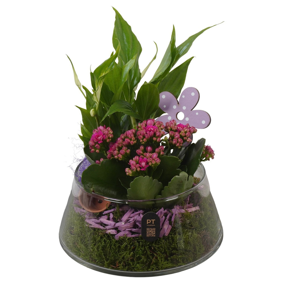 Indoor arrangement 27cm 18cm Pot