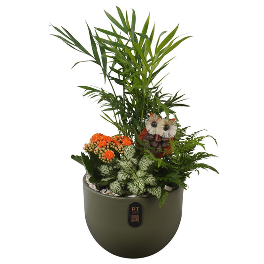 Indoor arrangement 45cm 19cm Pot