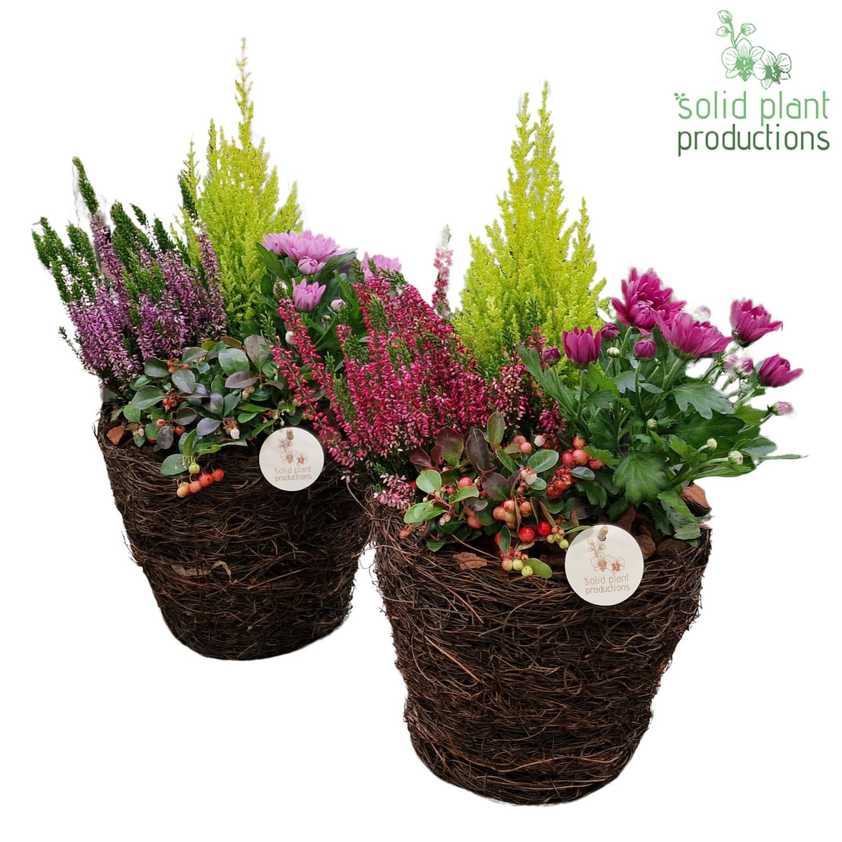 Outdoor arrangement 55cm 26cm Pot